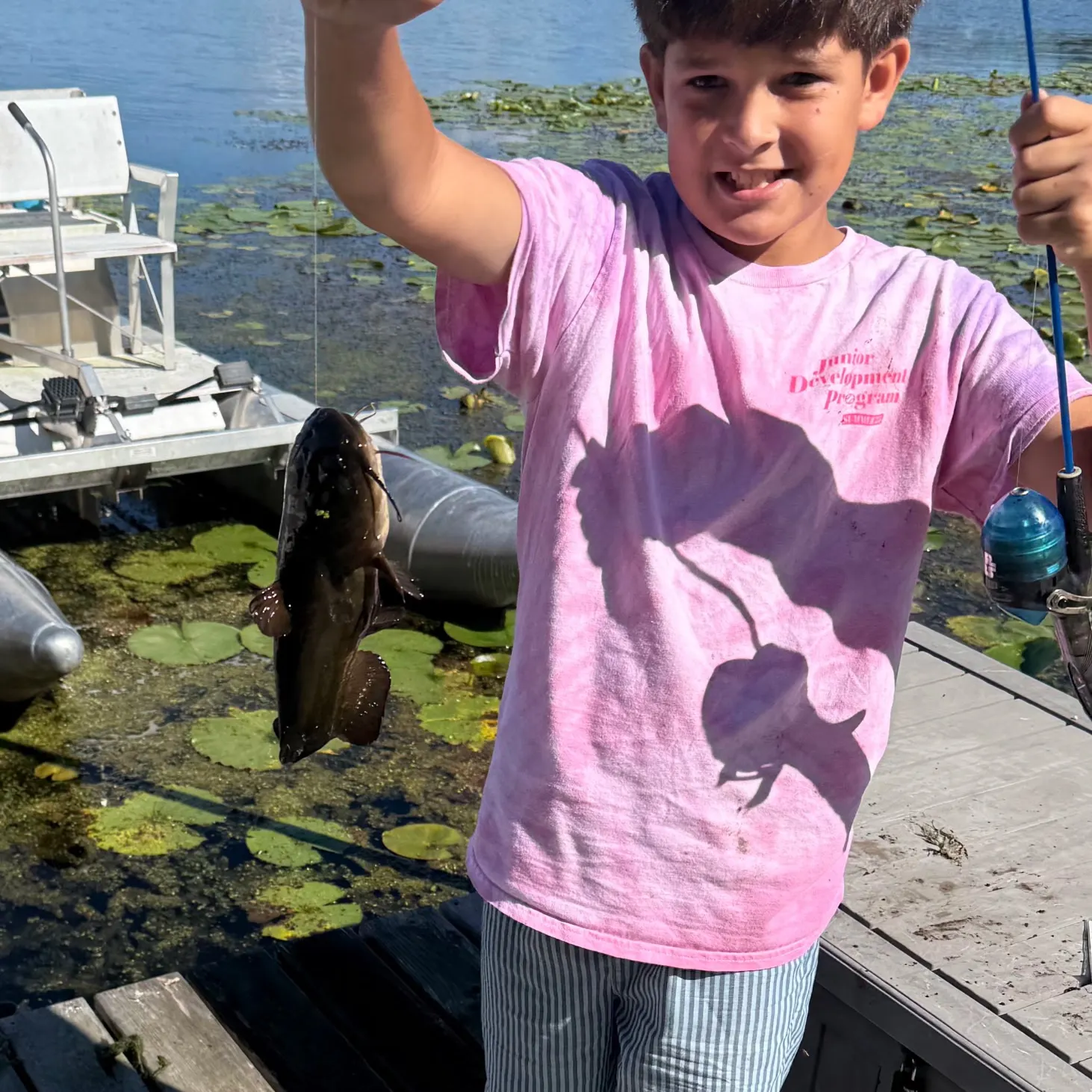 Yellow bullhead caught on Fishbrain