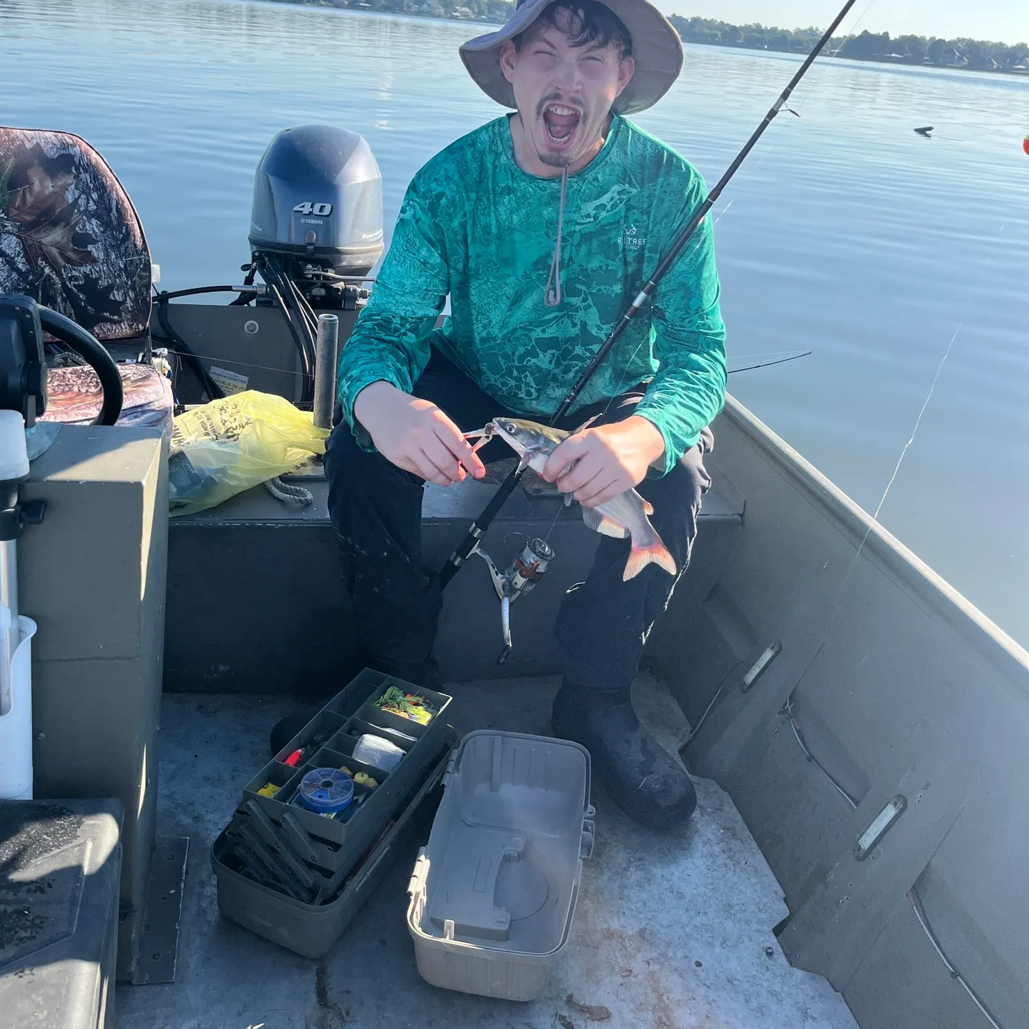 Hardhead sea catfish caught on Fishbrain