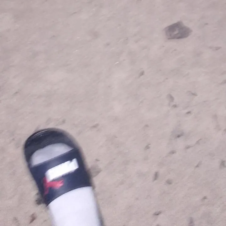 The most recent Golden dorado catches on Fishbrain