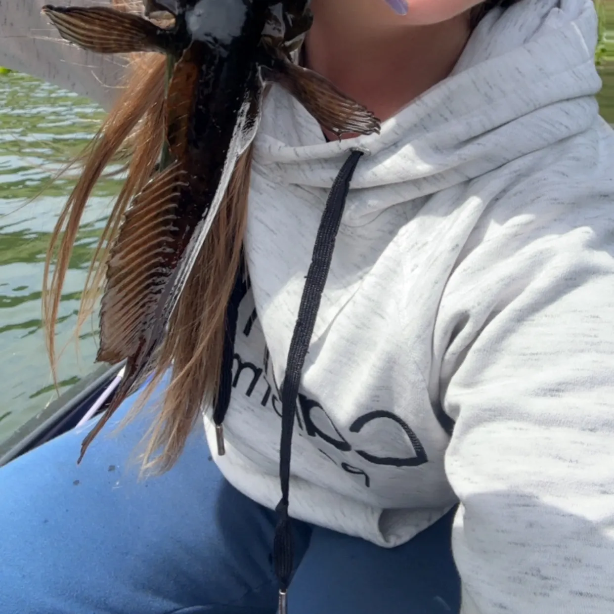 The most recent Longspined bullhead catches on Fishbrain