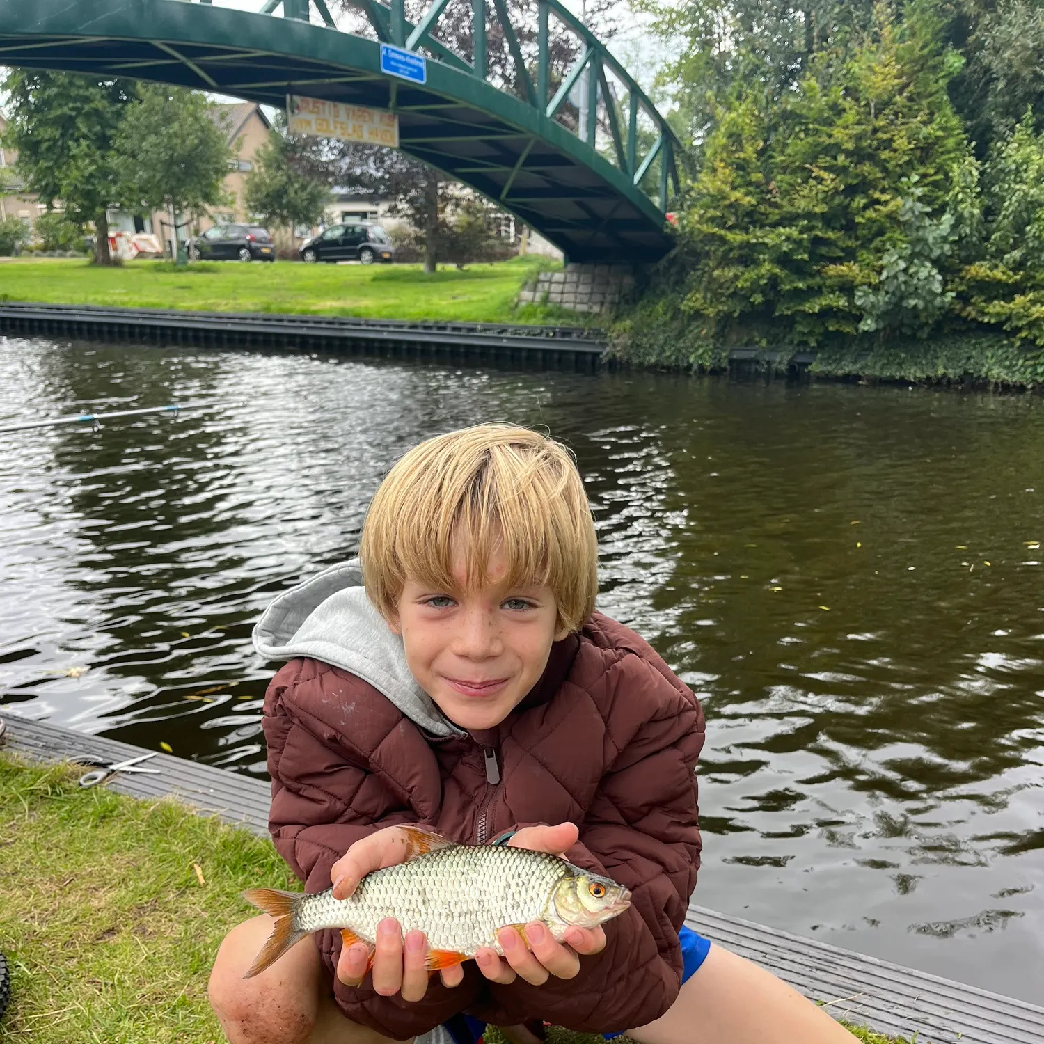 Common roach caught on Fishbrain