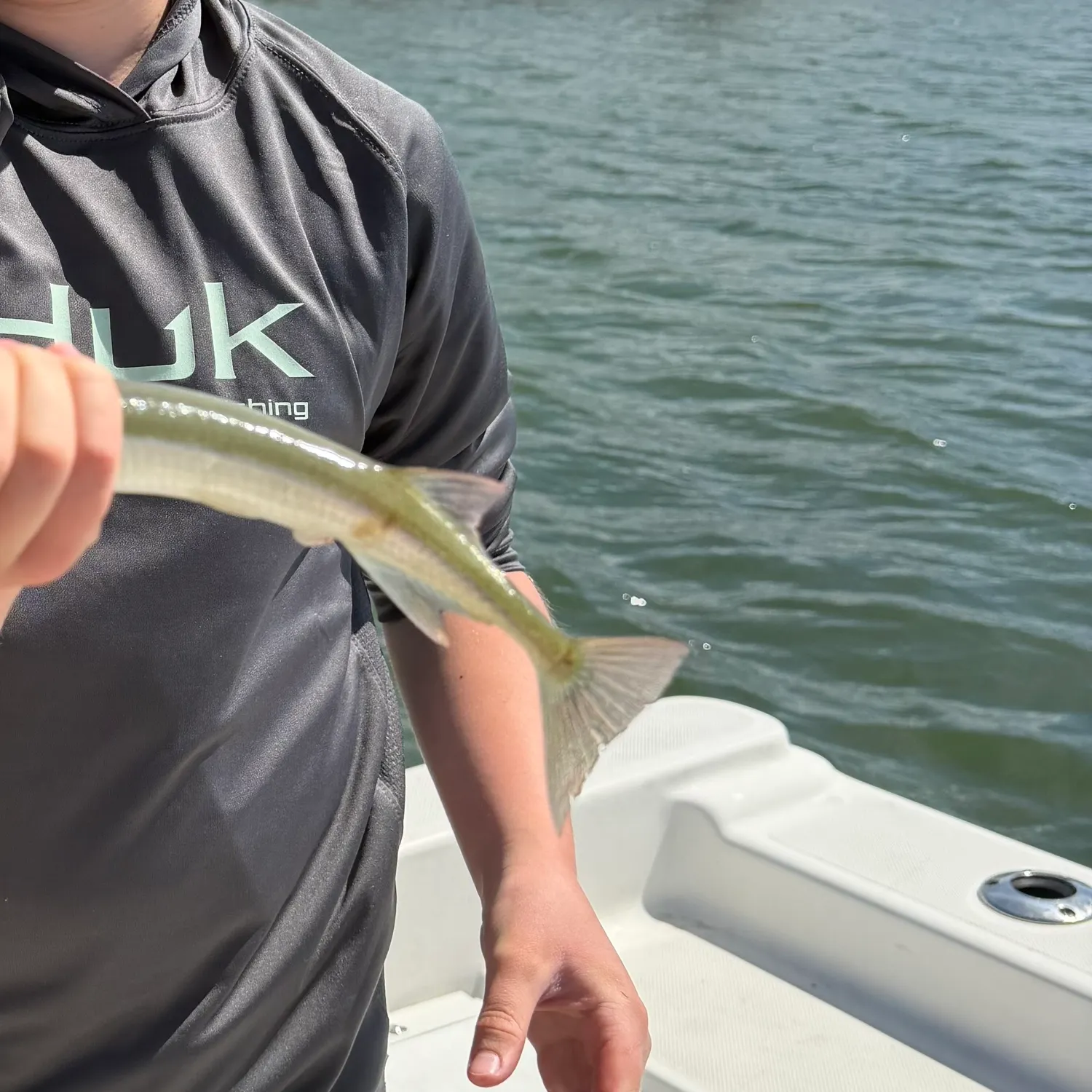 The most recent Flat needlefish catches on Fishbrain