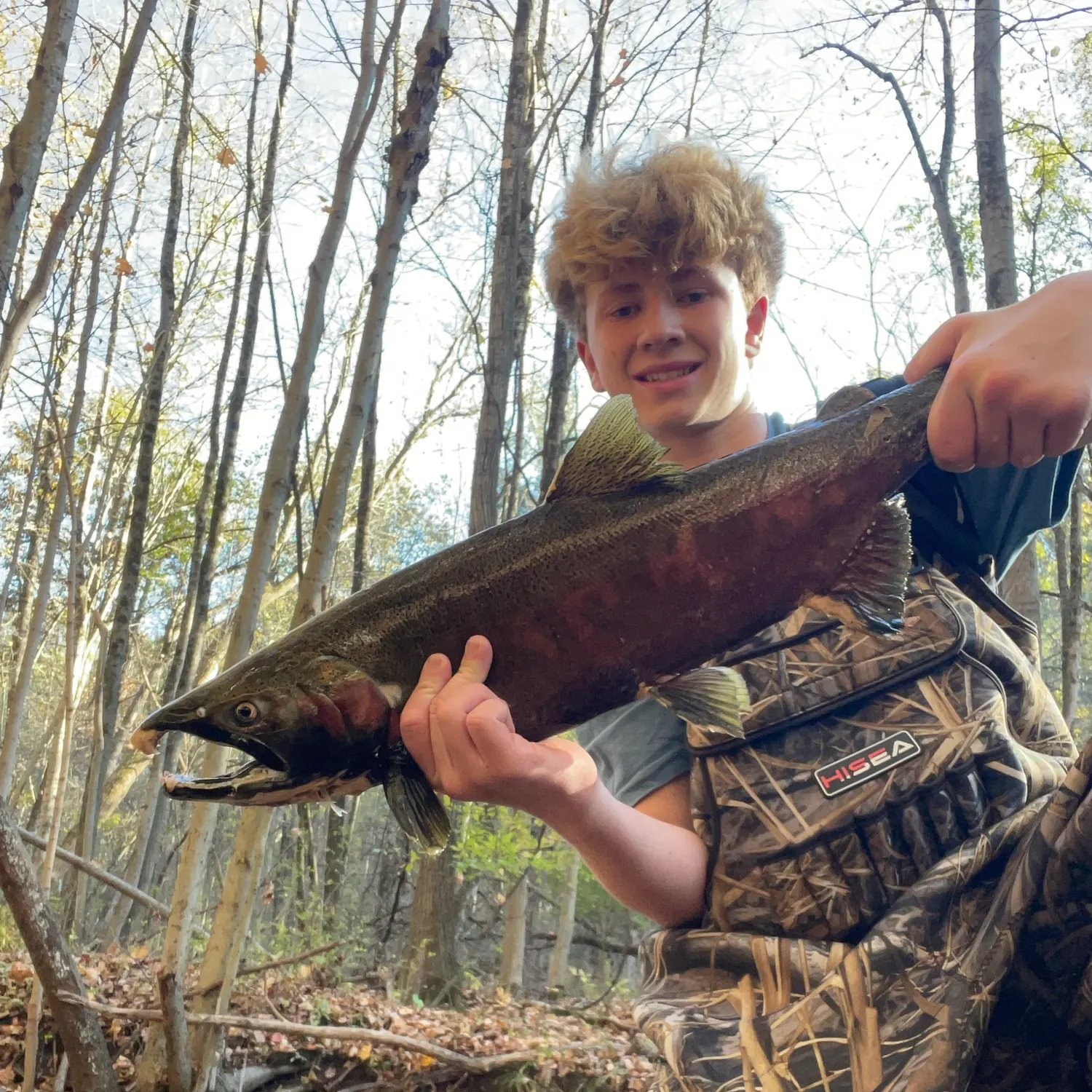 Coho salmon caught on Fishbrain