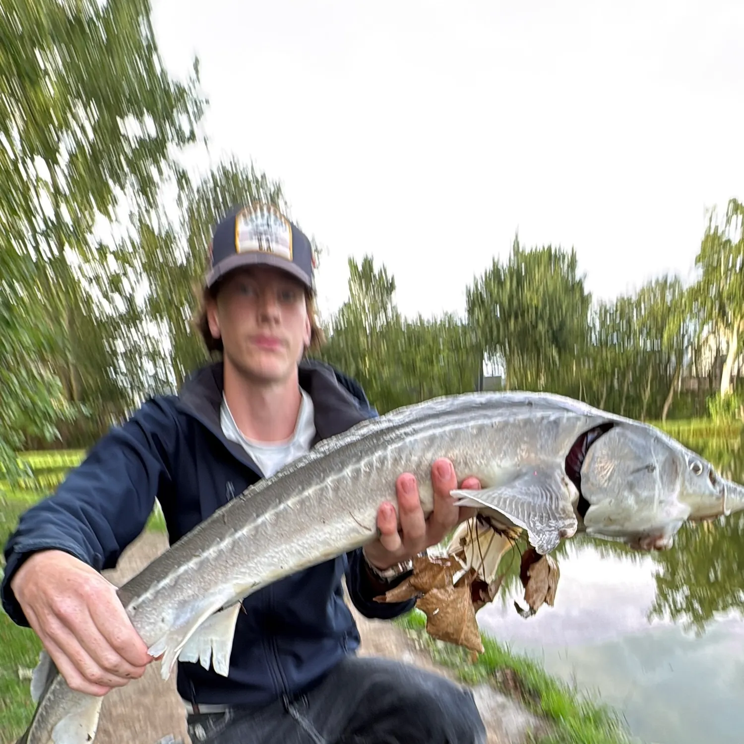 Sterlet caught on Fishbrain