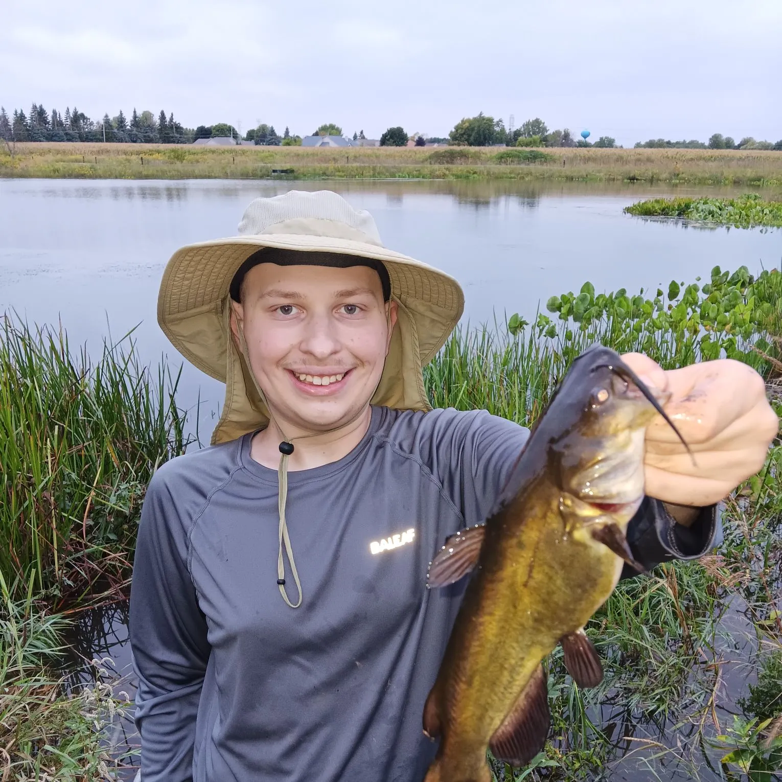 Black bullhead caught on Fishbrain