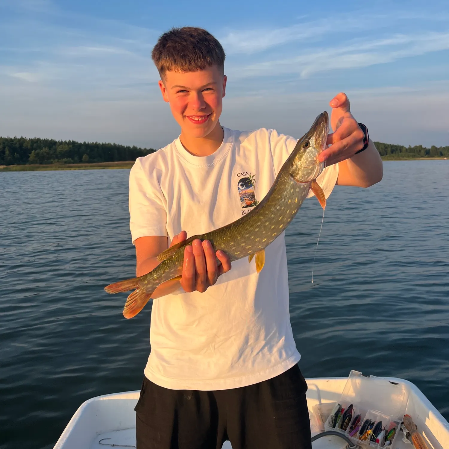 Northern pike caught on Fishbrain