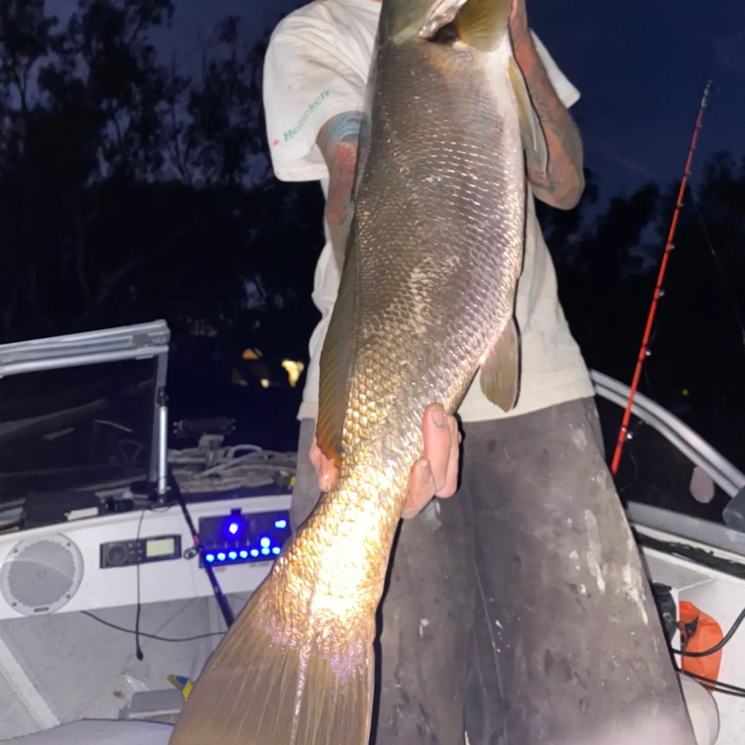 angler catch