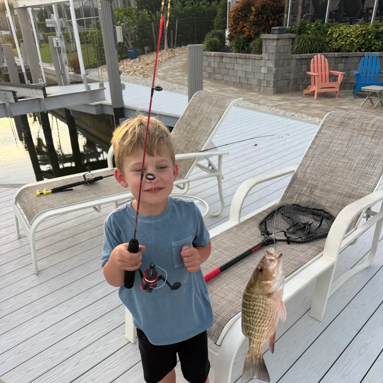 Mangrove snapper caught on Fishbrain