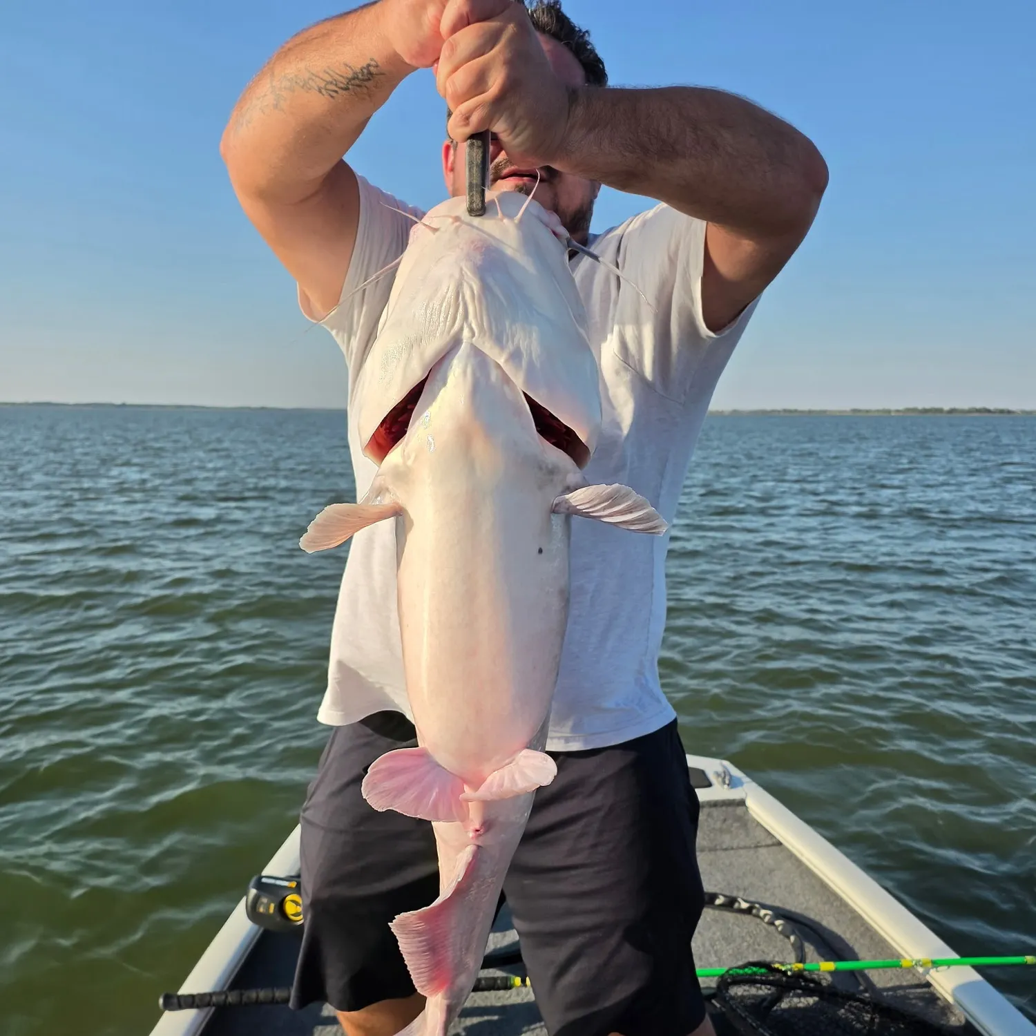 Fish caught on Fishbrain