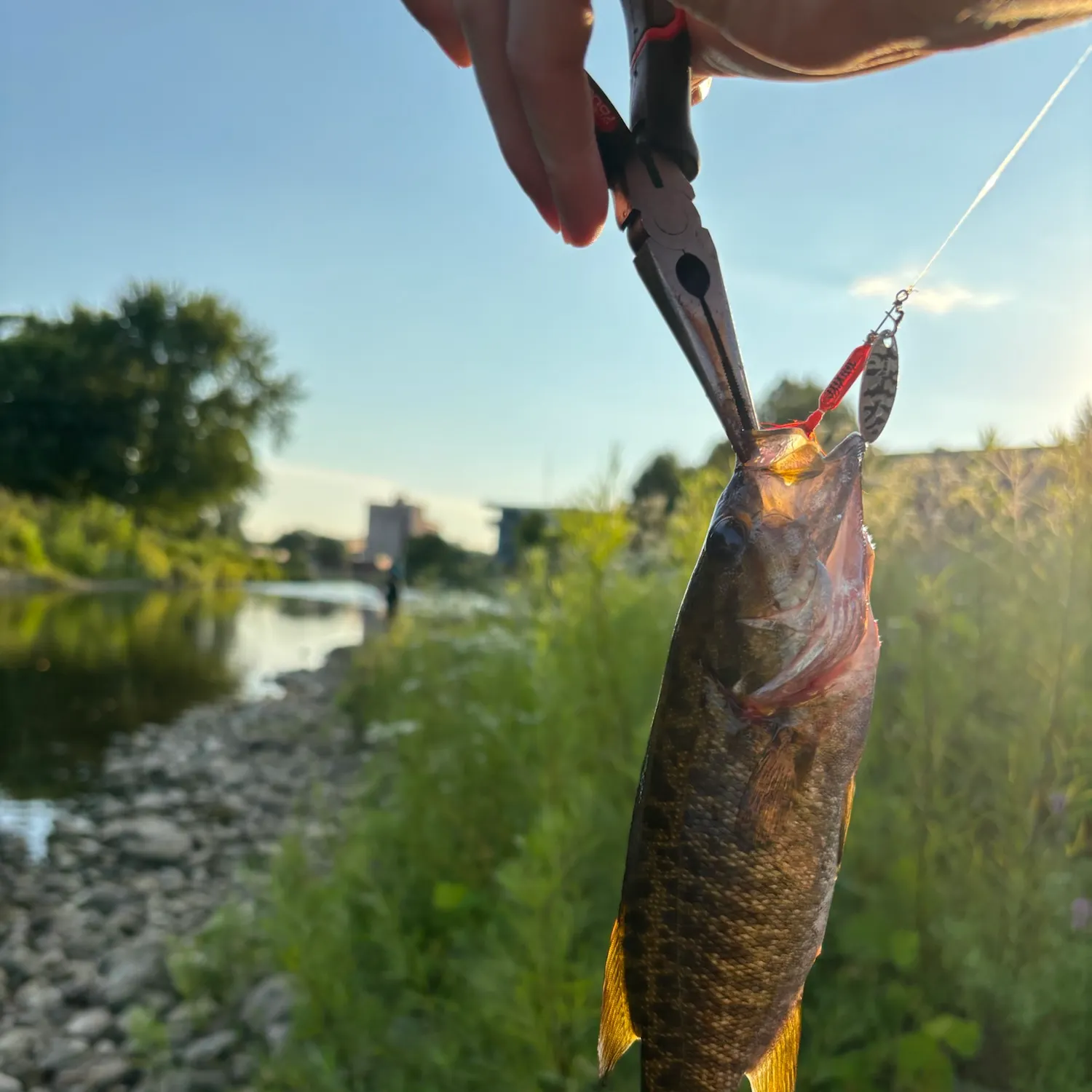 catch