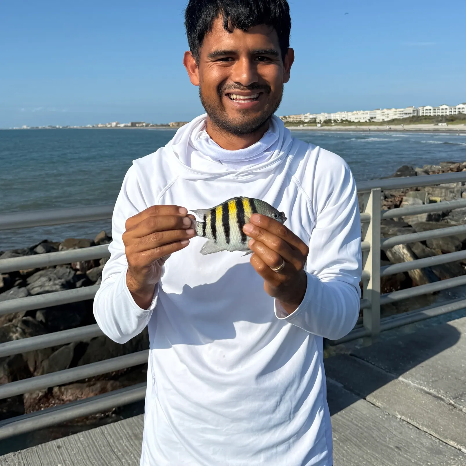 The most recent Sergeant-major catches on Fishbrain