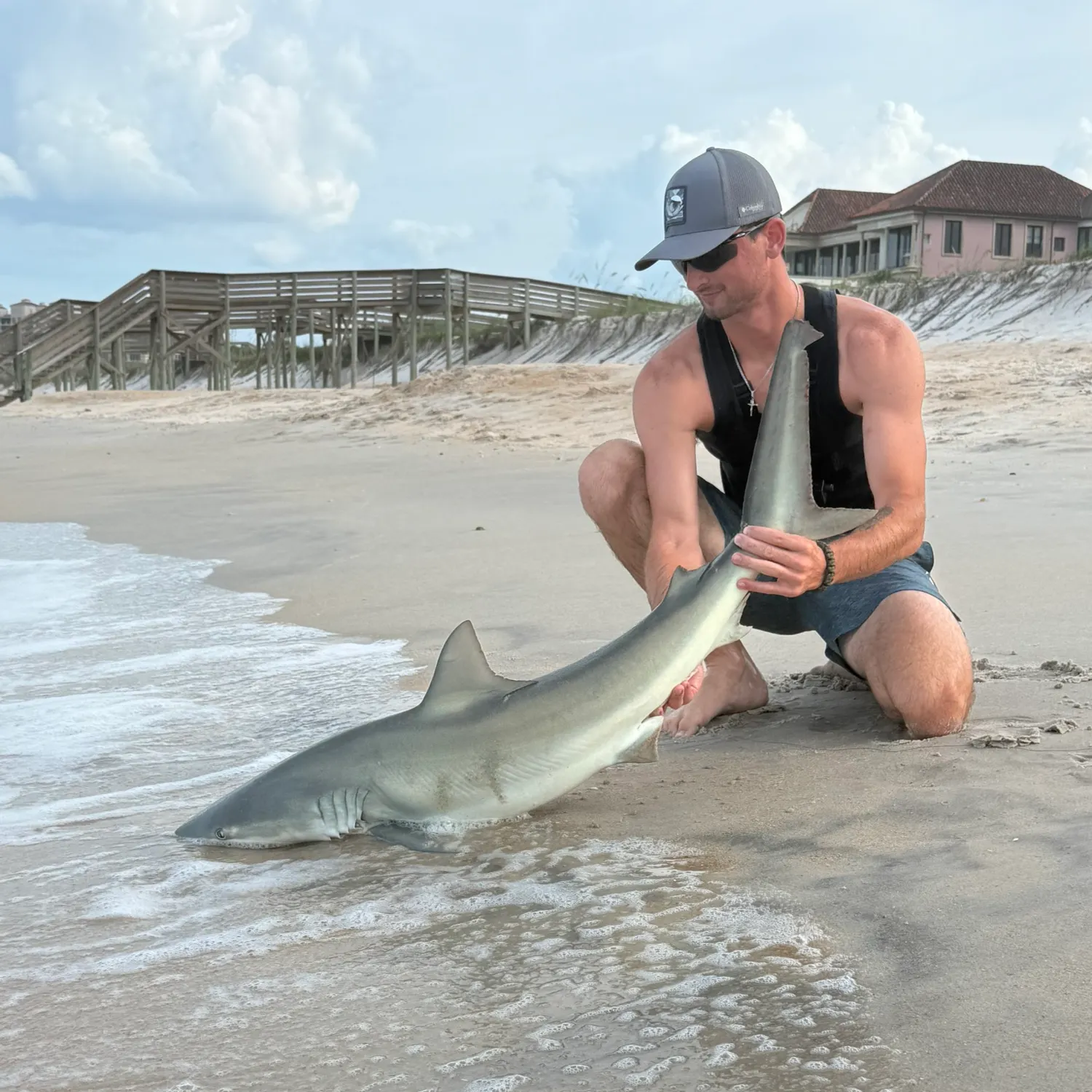 The most recent Finetooth shark catches on Fishbrain