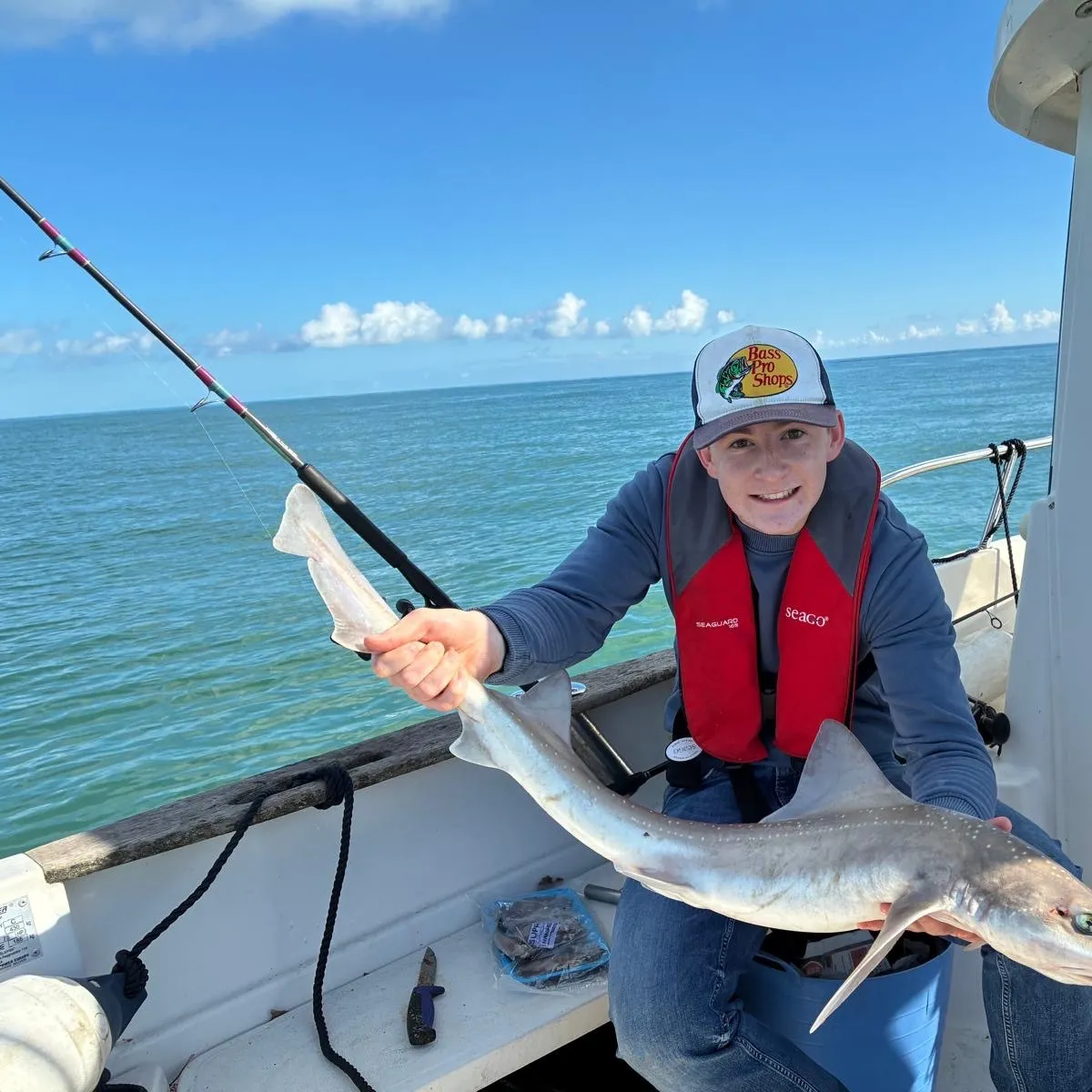 Starry smooth-hound caught on Fishbrain