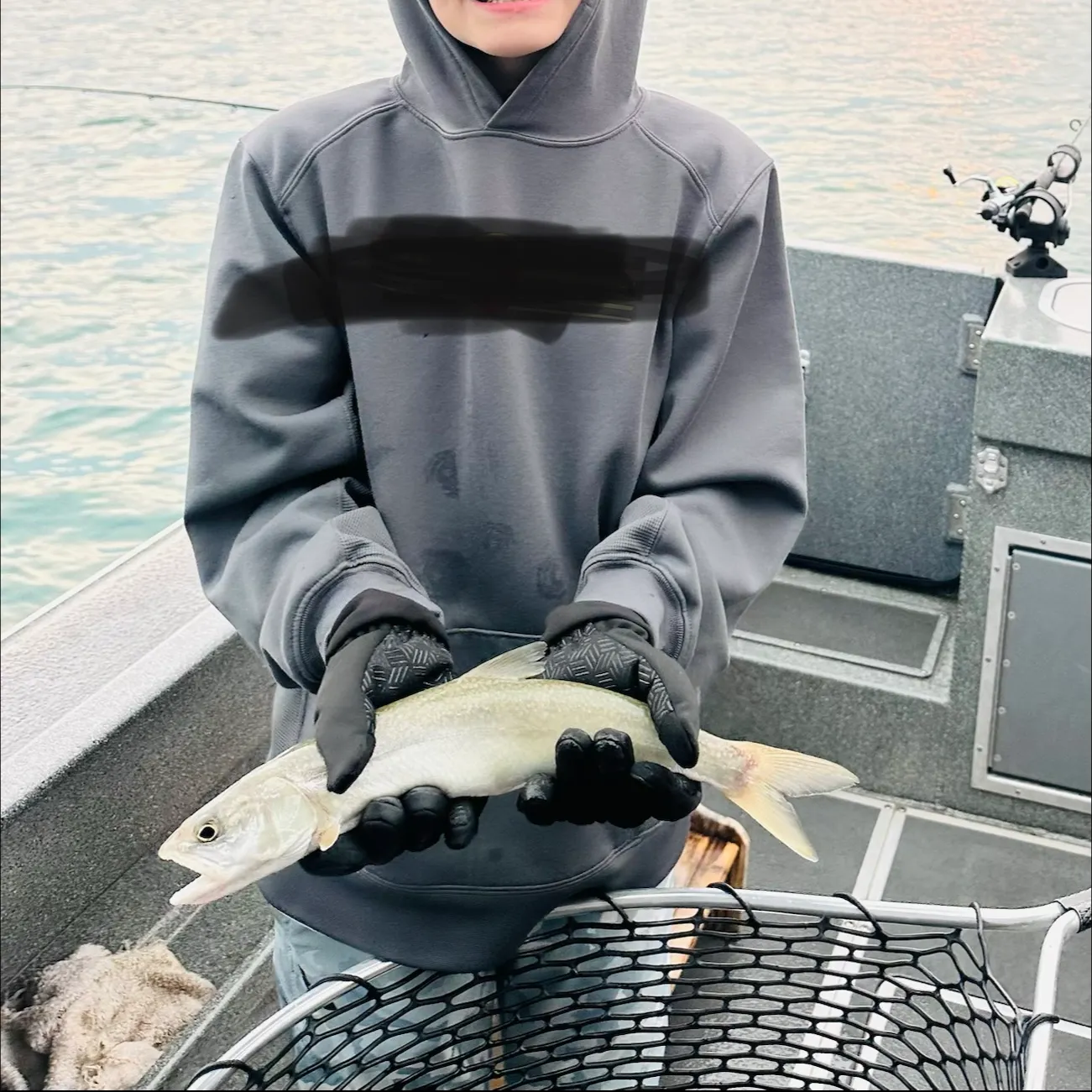 The most recent Rocky Mountain cutthroat trout catches on Fishbrain