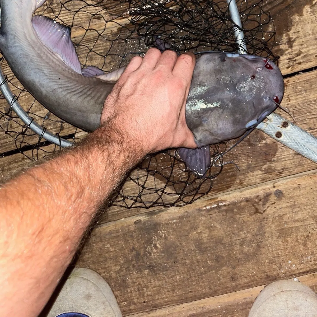 catch