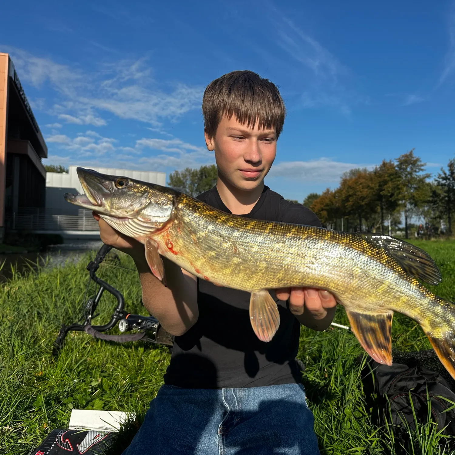 Northern pike caught on Fishbrain