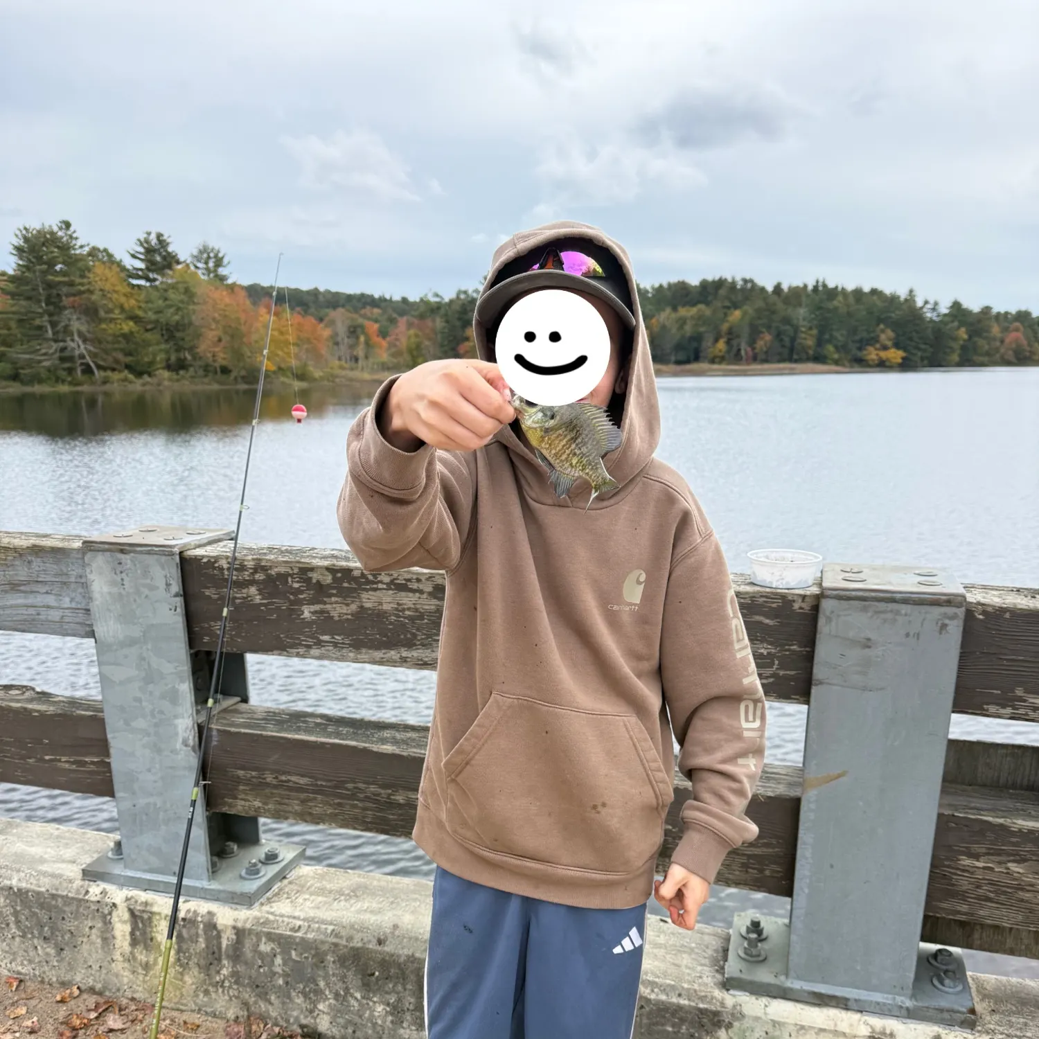 Bluegill caught on Fishbrain