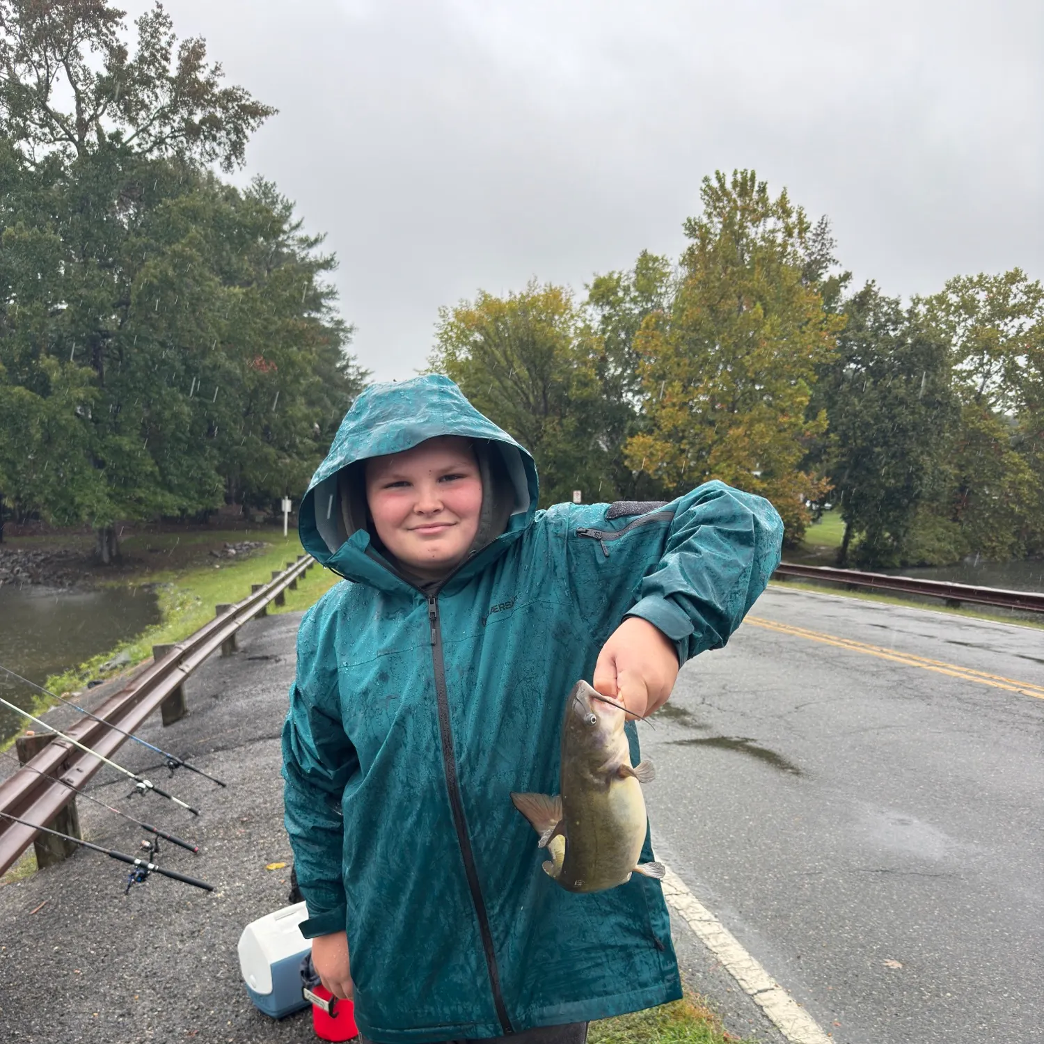 Channel catfish caught on Fishbrain