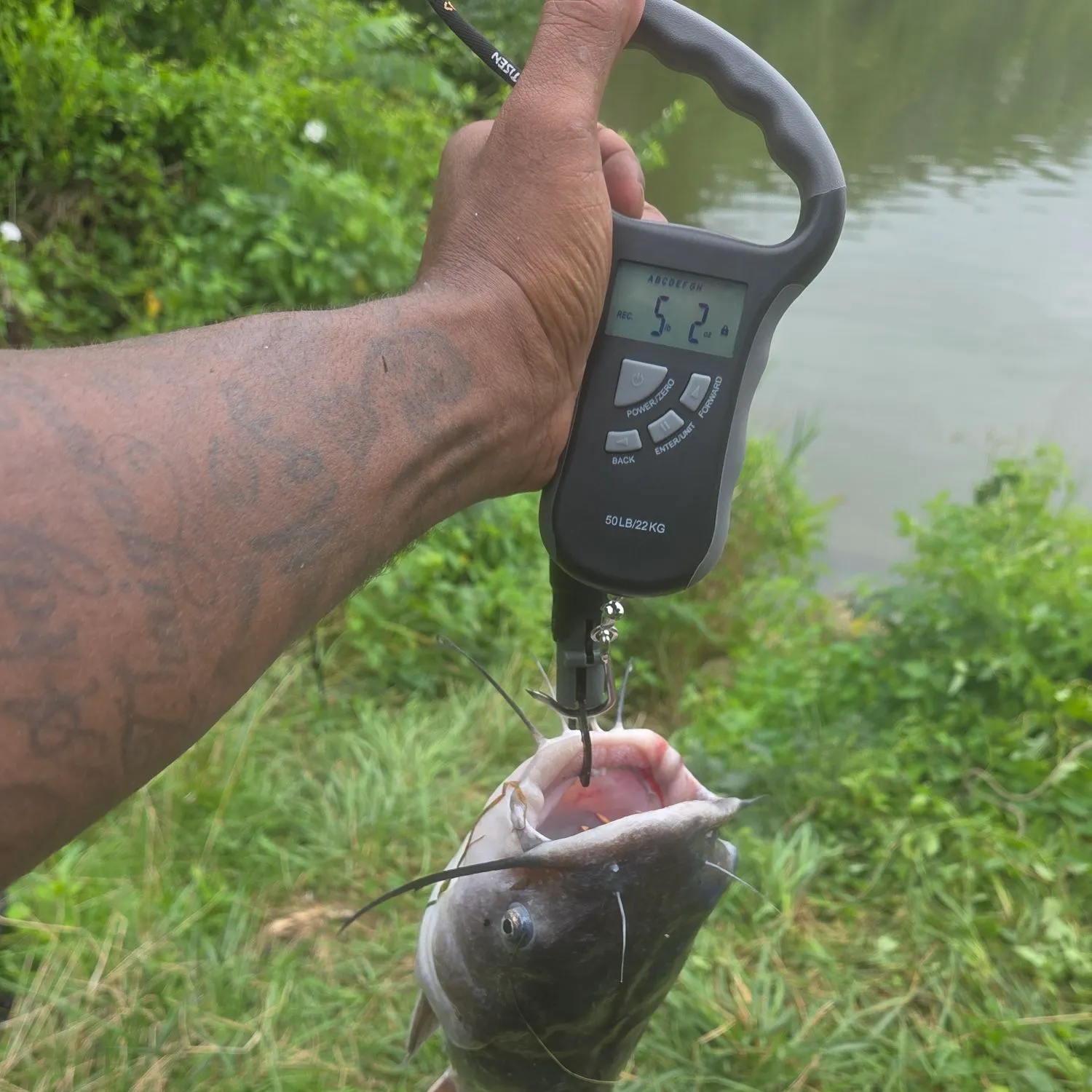 recently logged catches