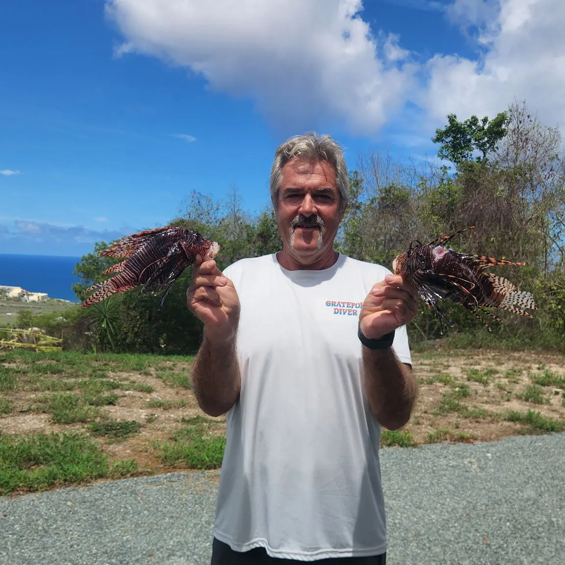 The most recent Red lionfish catches on Fishbrain