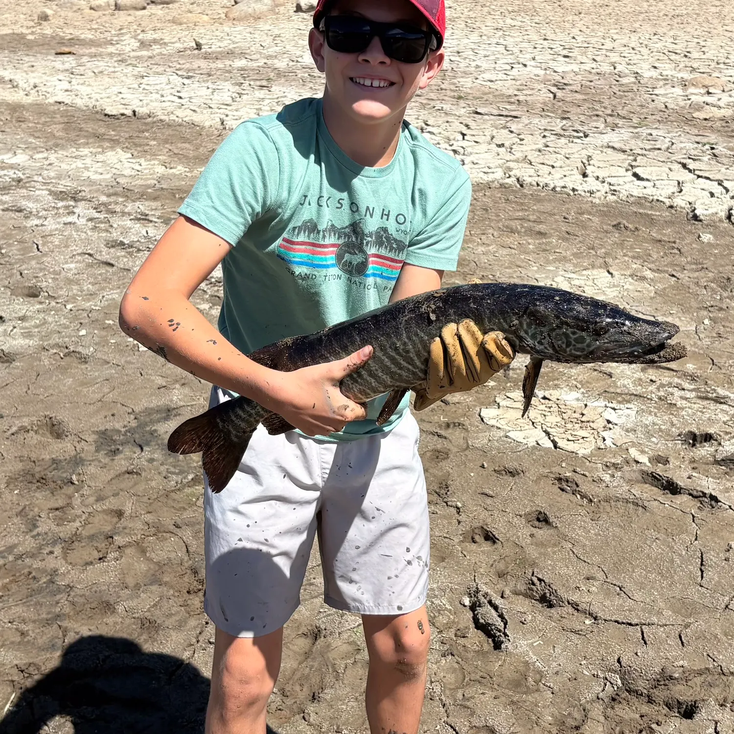 Tiger muskie caught on Fishbrain