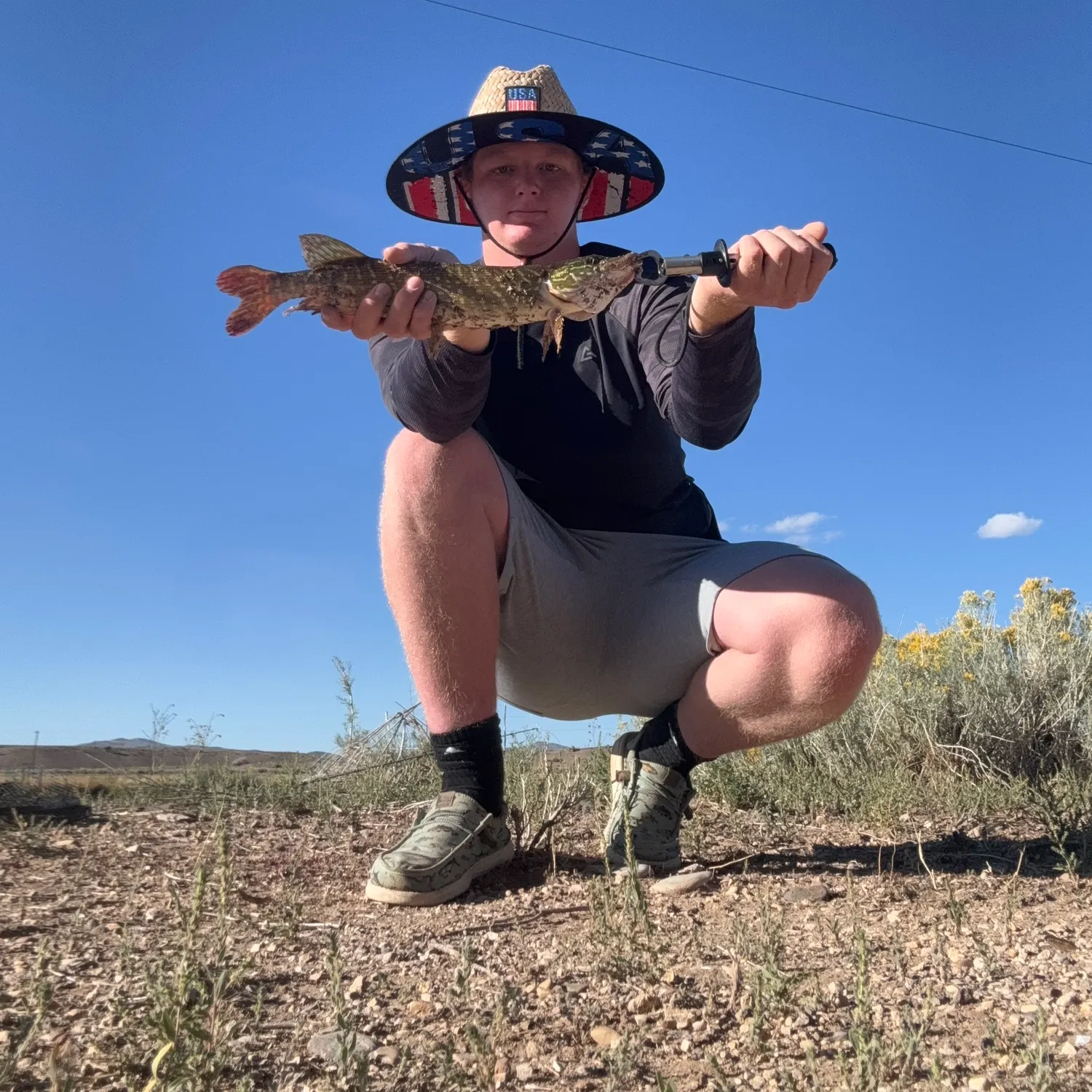 Northern pike caught on Fishbrain