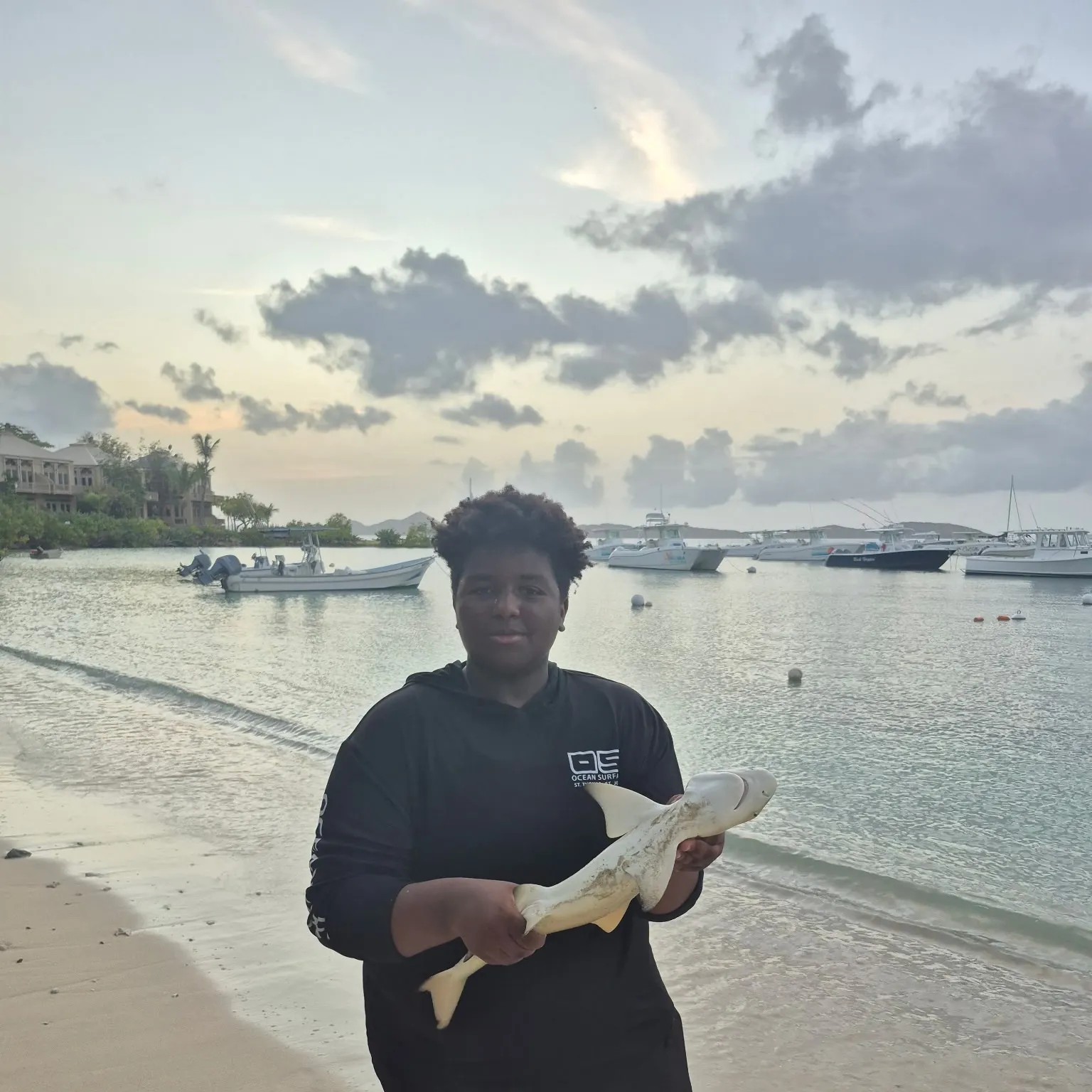 The most recent Lemon shark catches on Fishbrain