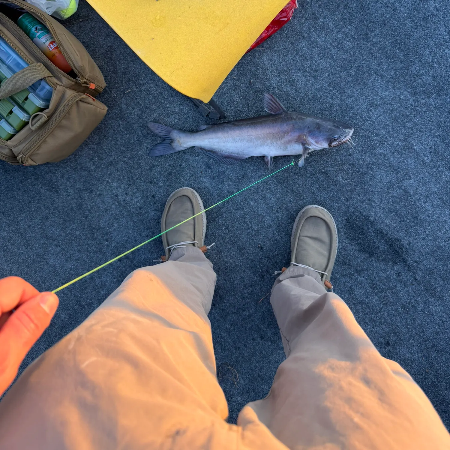 catch