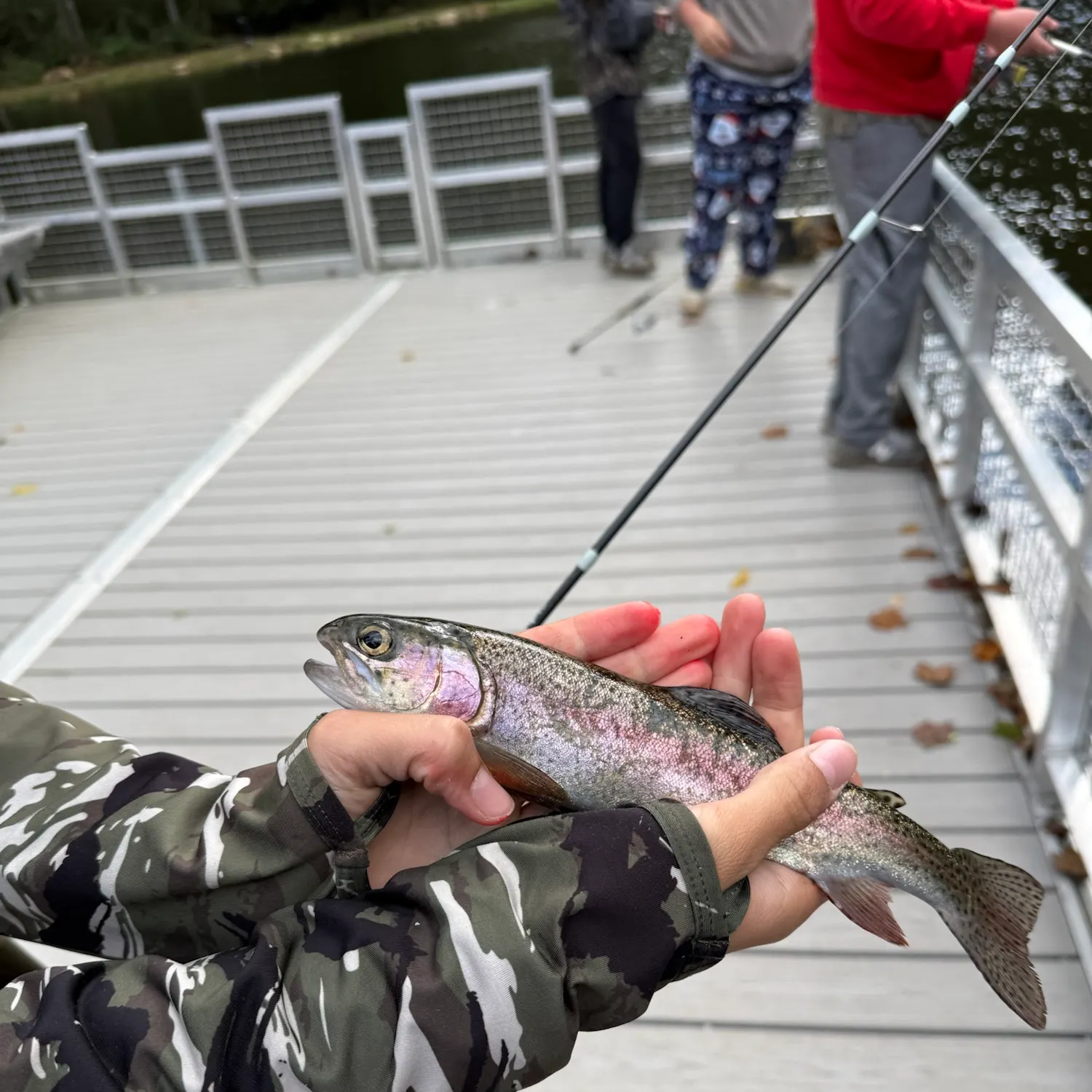 Rainbow trout caught on Fishbrain