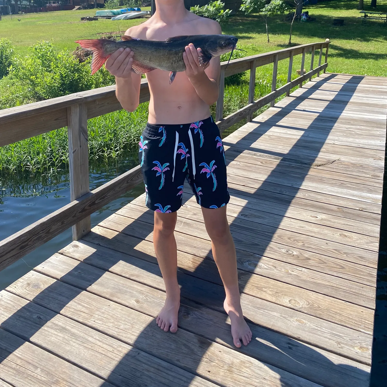 catch