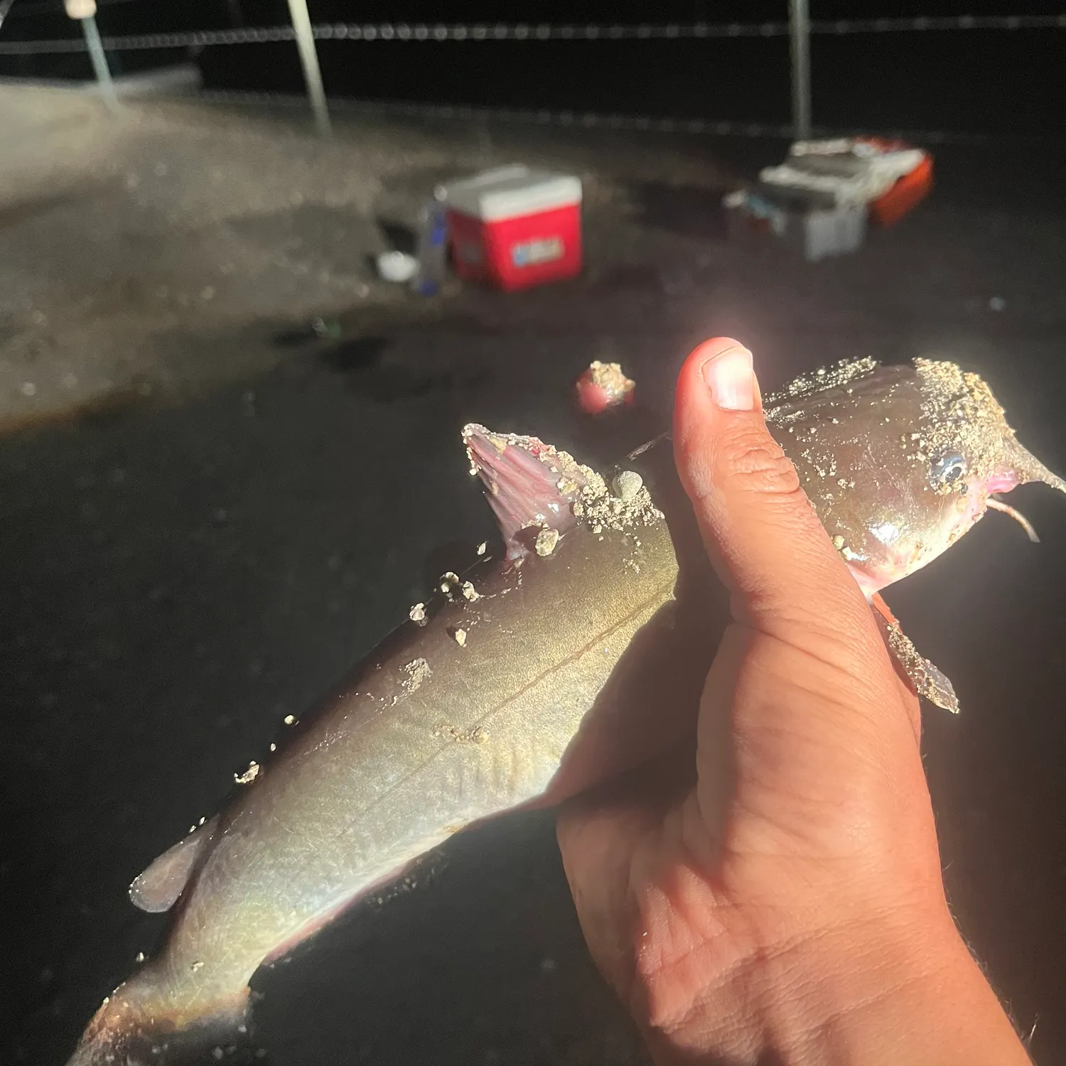 catch