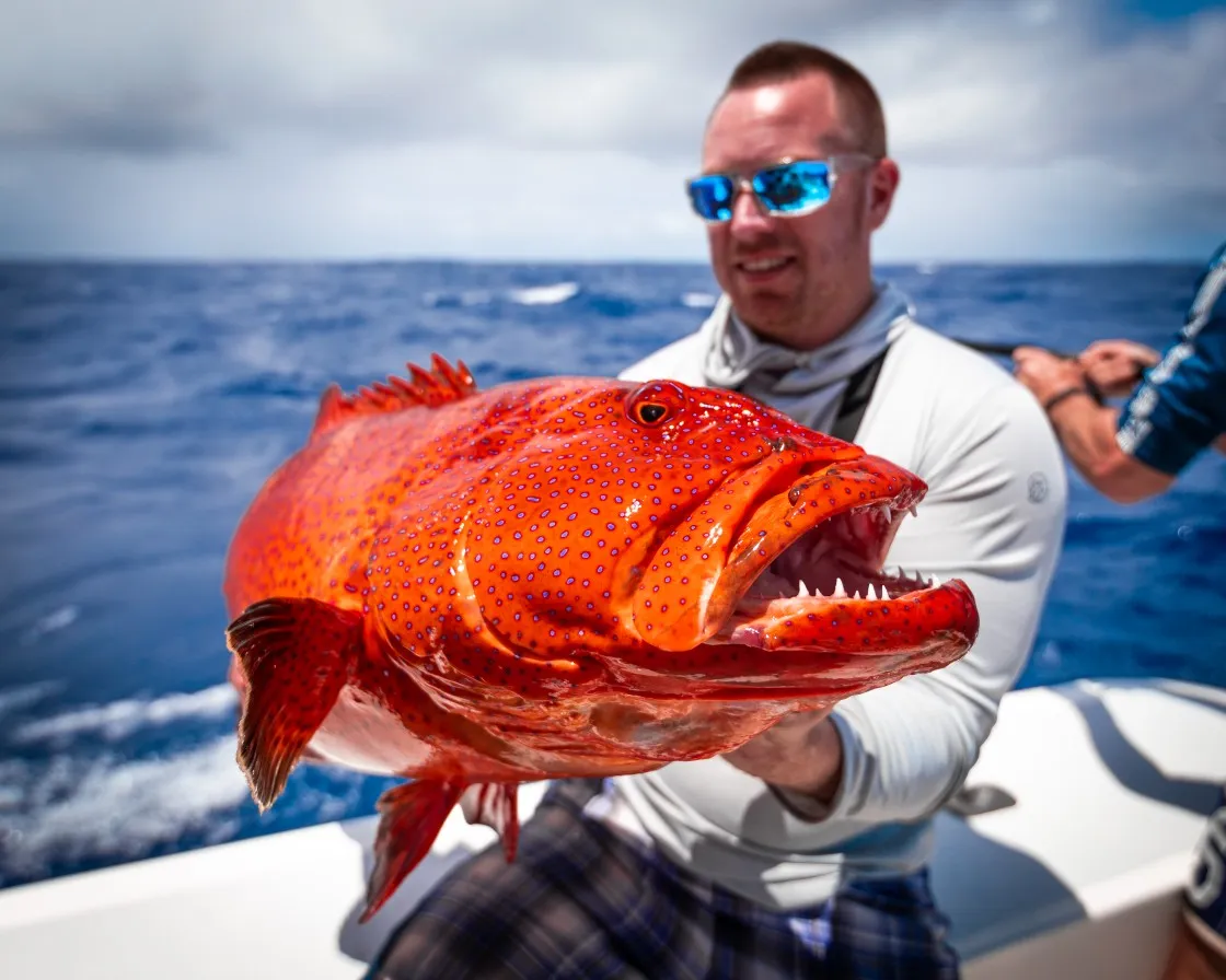 The most popular recent Leopard coralgrouper catch on Fishbrain