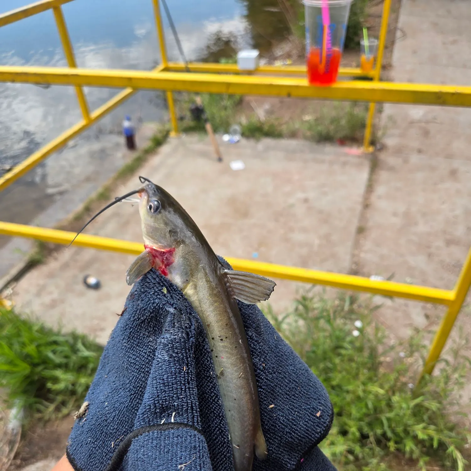 catch
