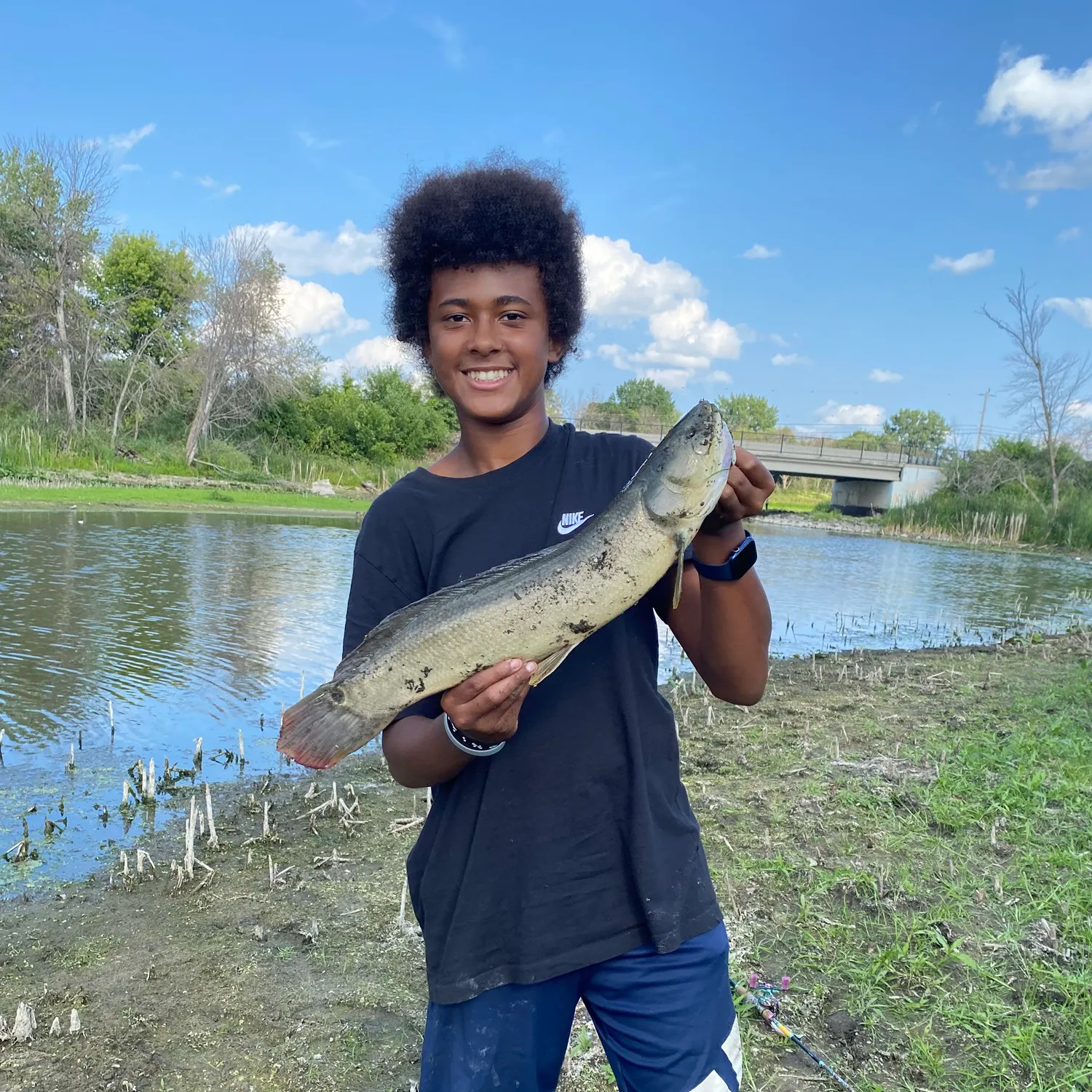 Eyetail bowfin caught on Fishbrain