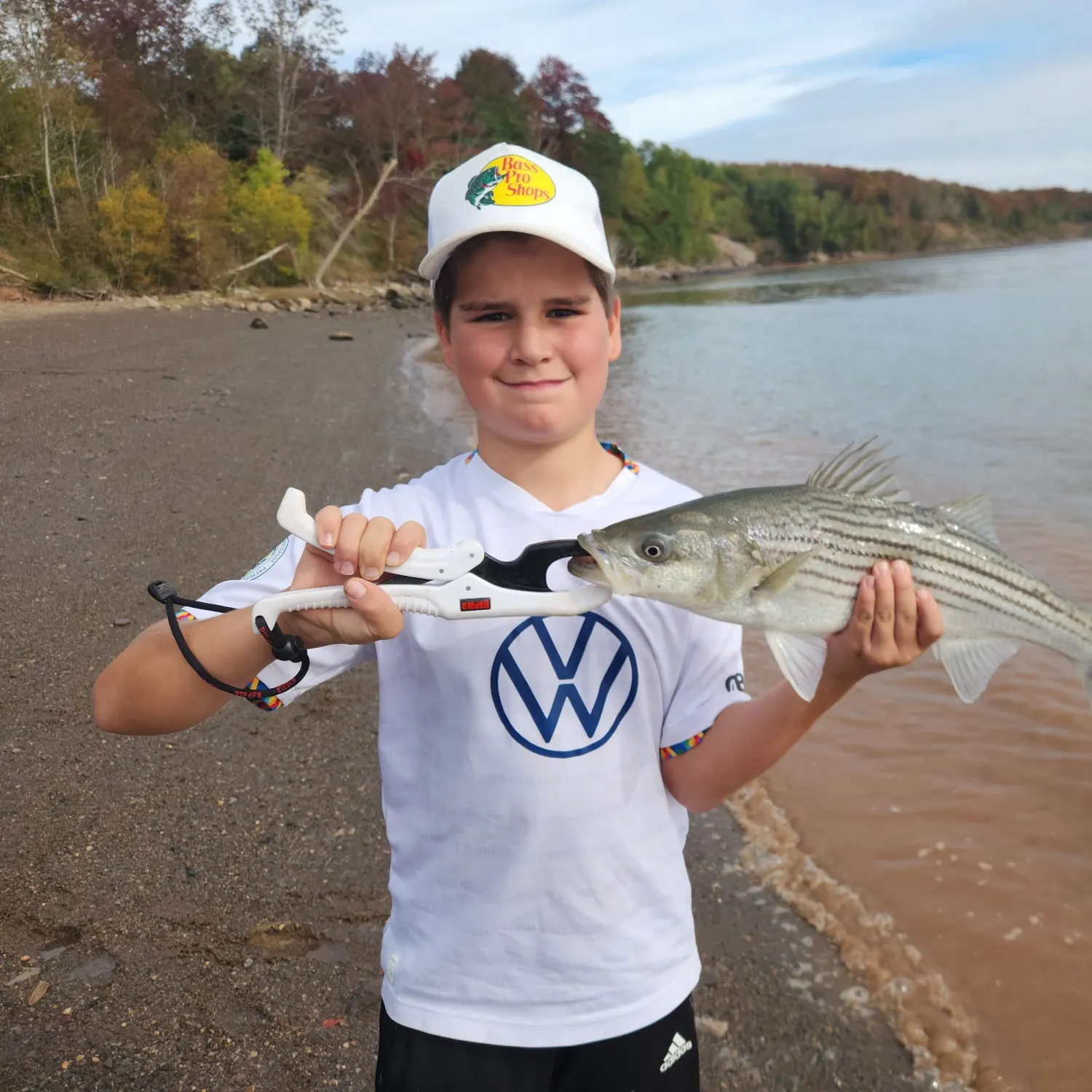 Striped bass caught on Fishbrain