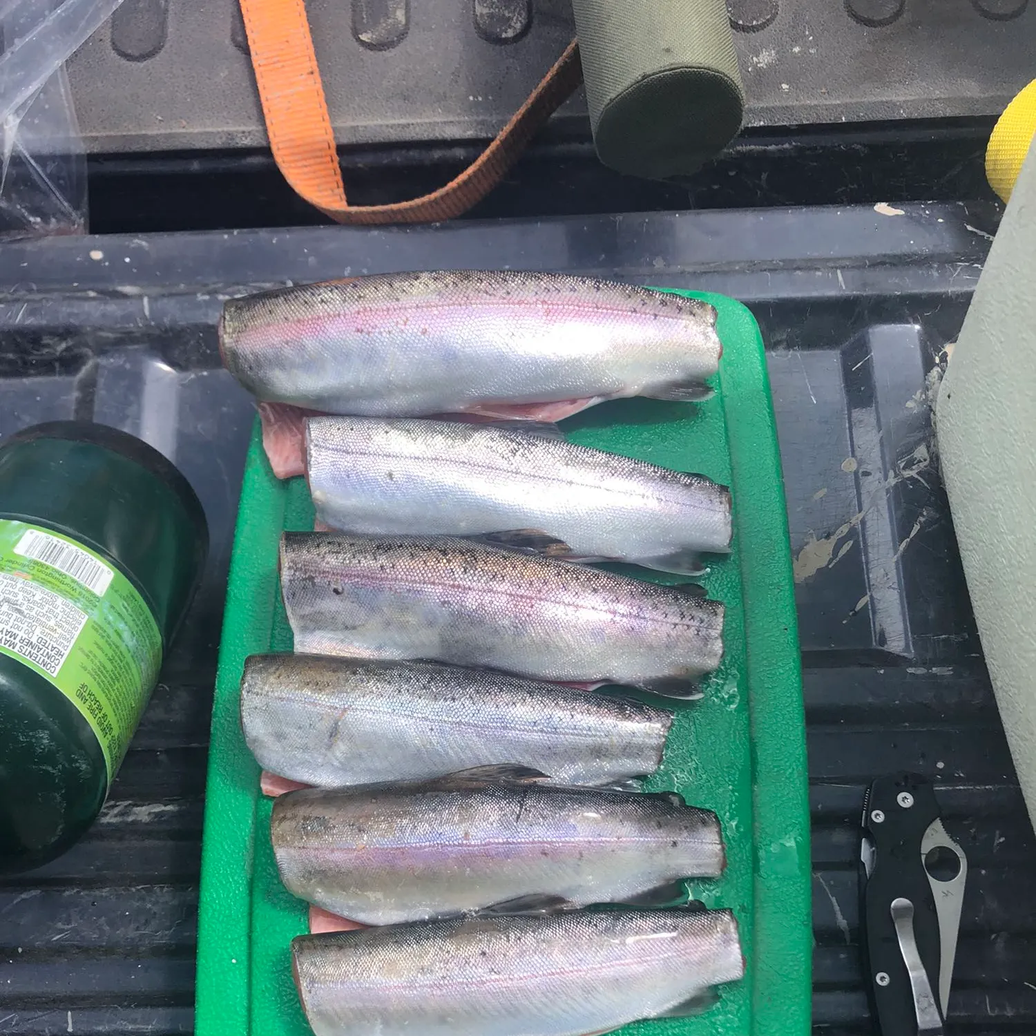 recently logged catches