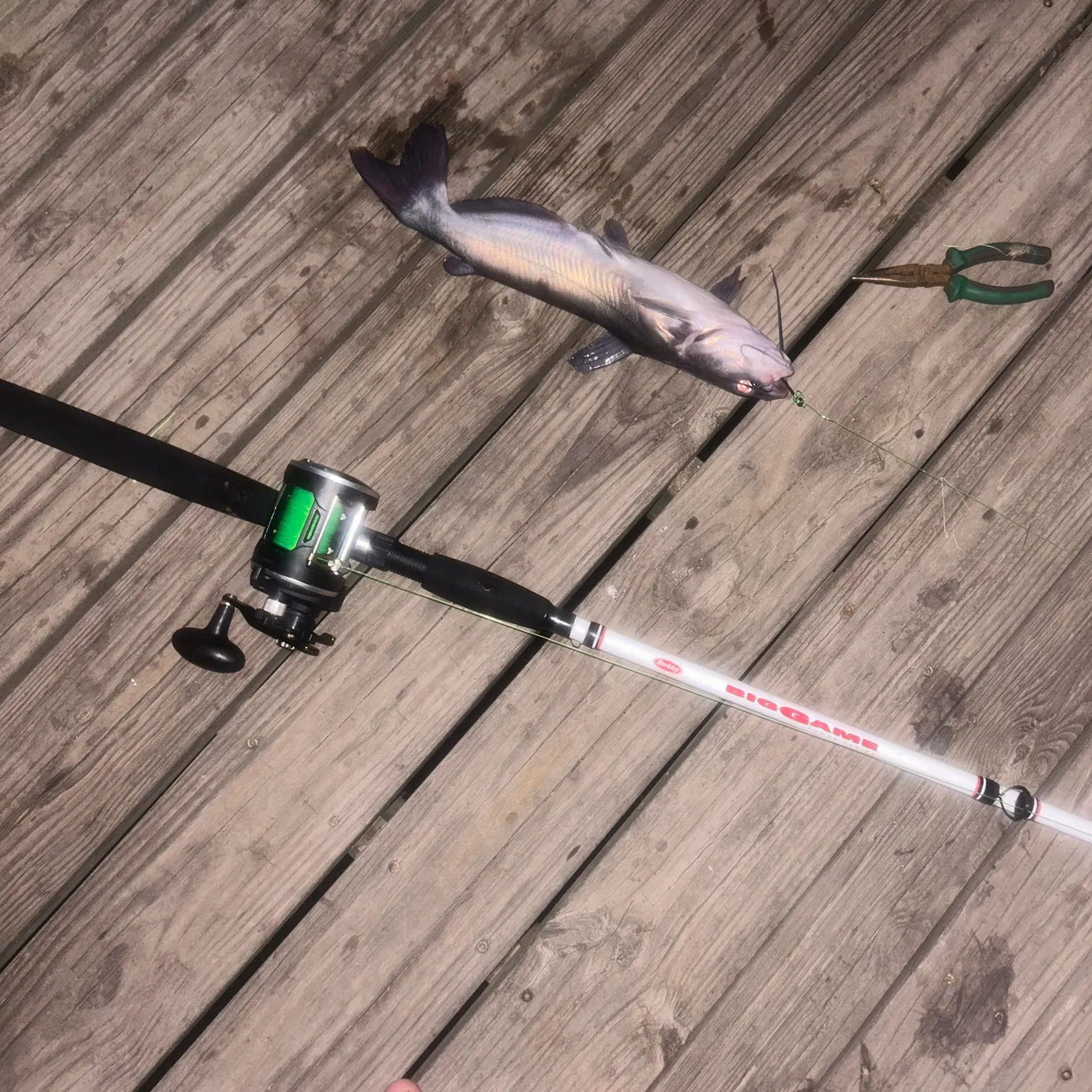 recently logged catches