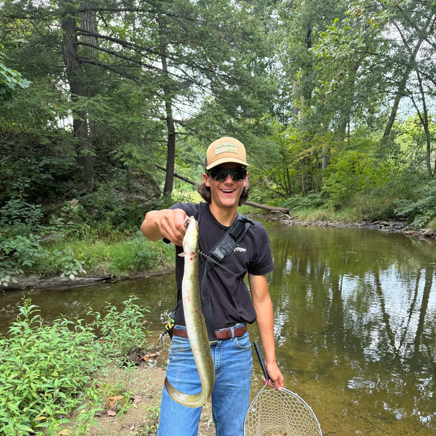 The most recent American eel catches on Fishbrain