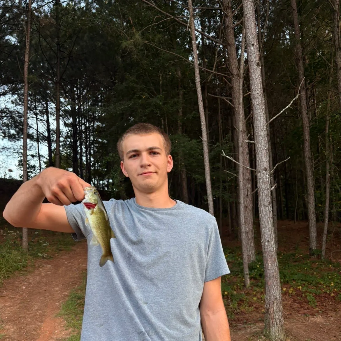 Spotted bass caught on Fishbrain