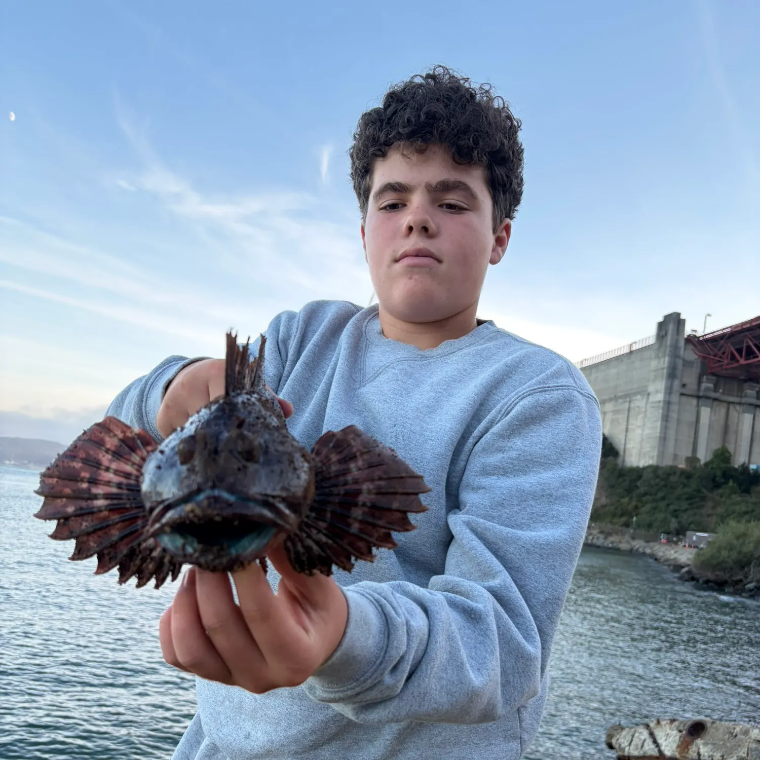 The most recent Cabezon catches on Fishbrain