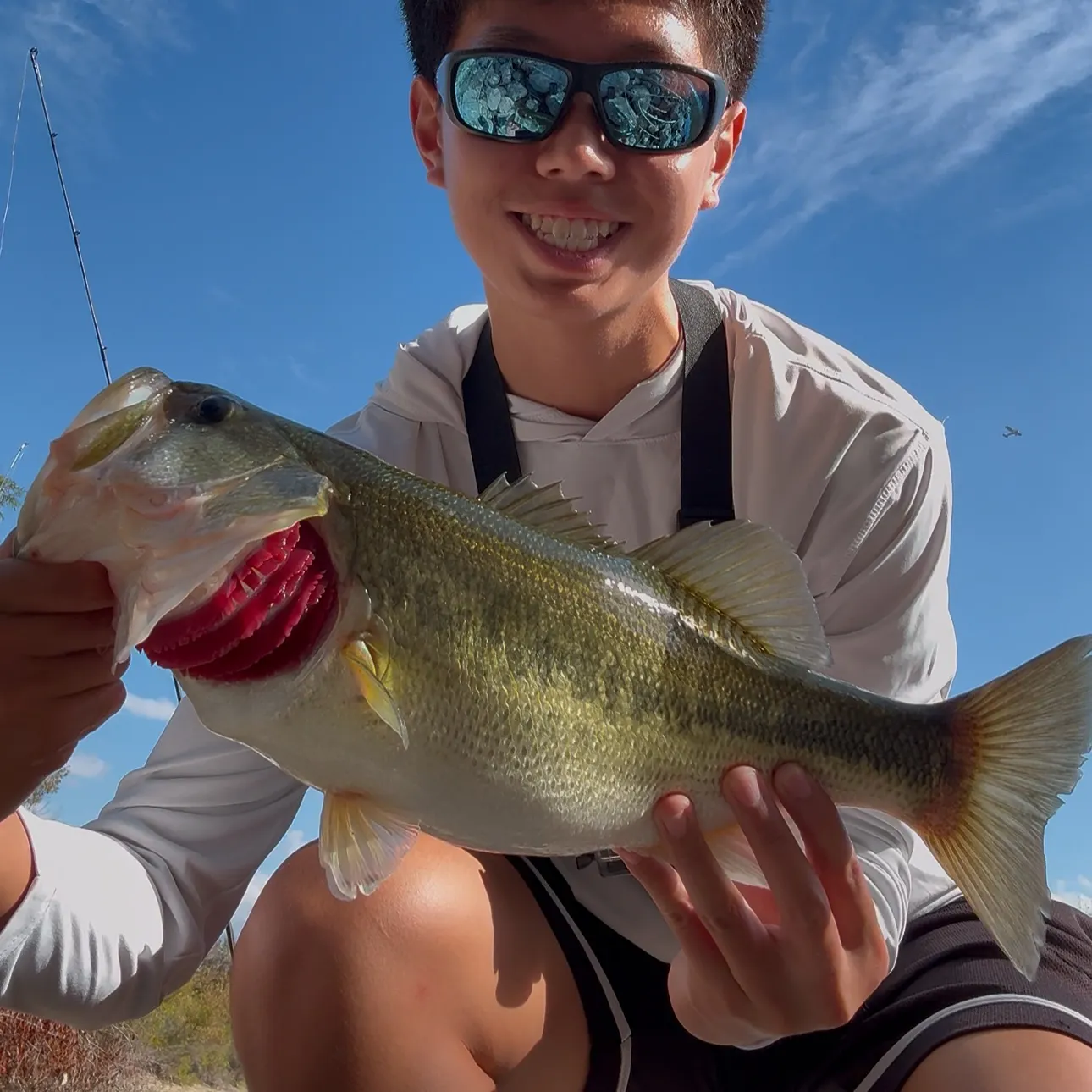 Largemouth bass caught on Fishbrain
