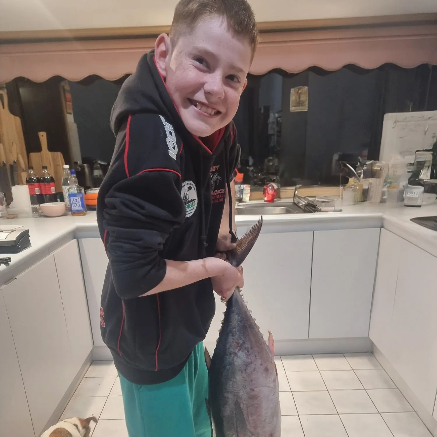 The most recent Southern bluefin tuna catches on Fishbrain