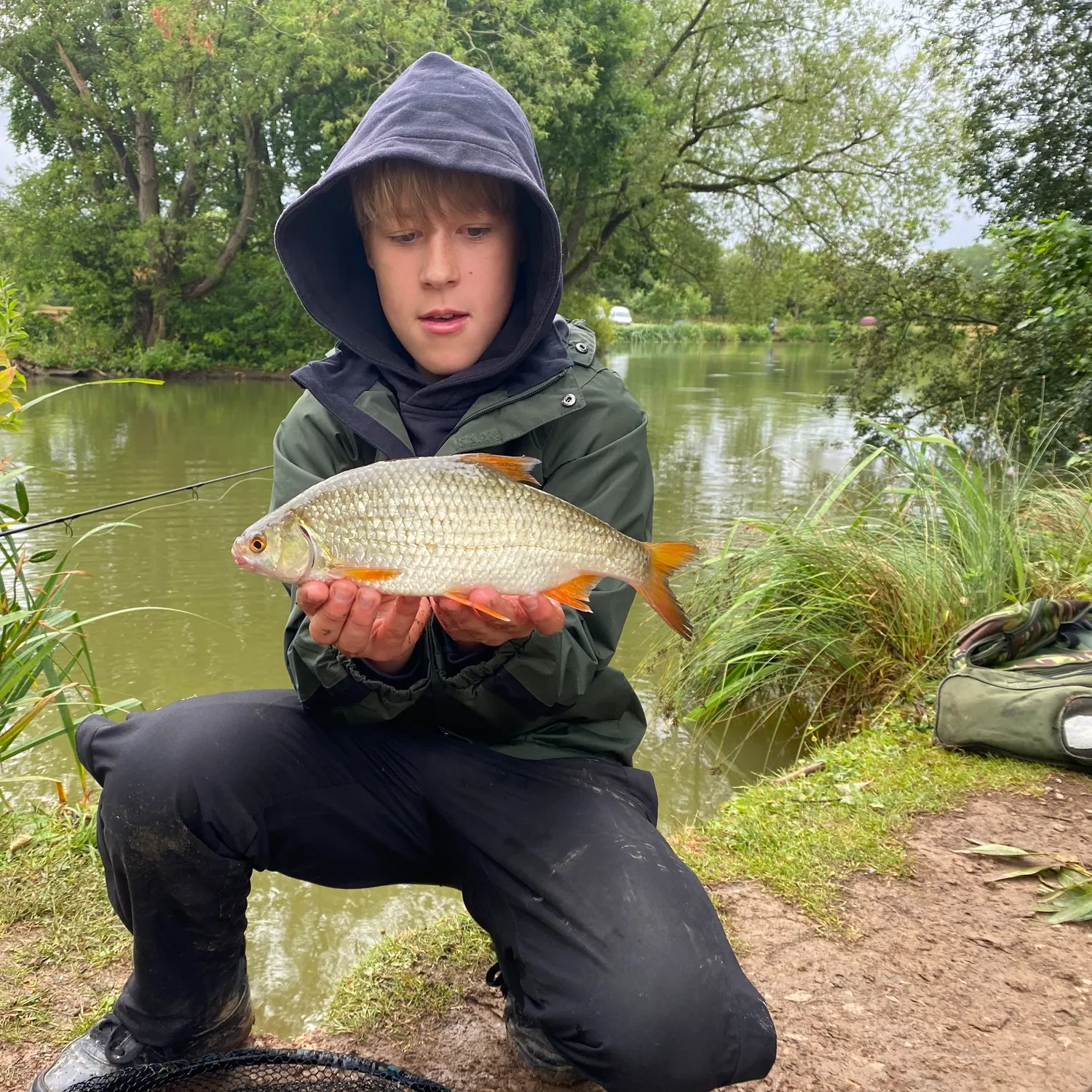 The most recent Common roach catches on Fishbrain