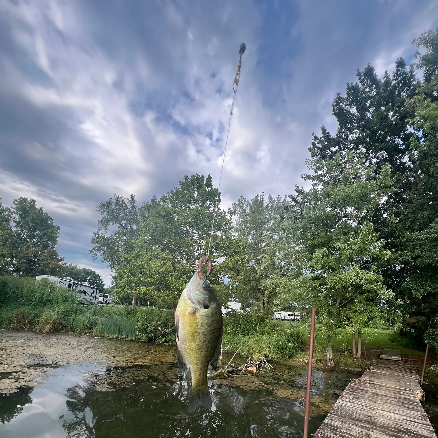 recently logged catches