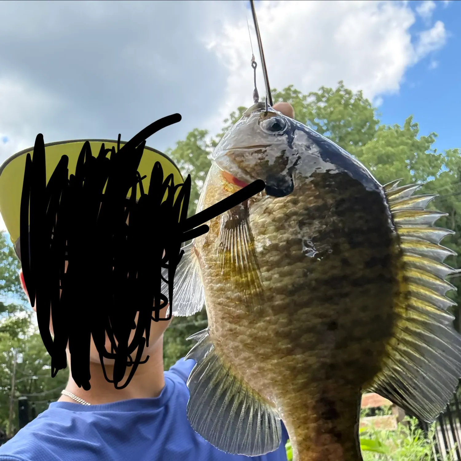 Bluegill caught on Fishbrain