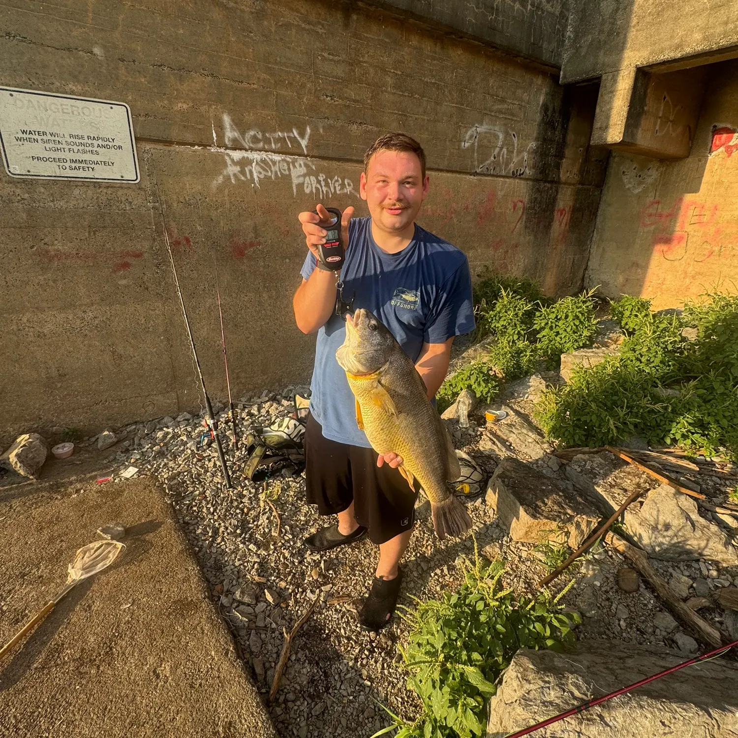 Freshwater drum caught on Fishbrain