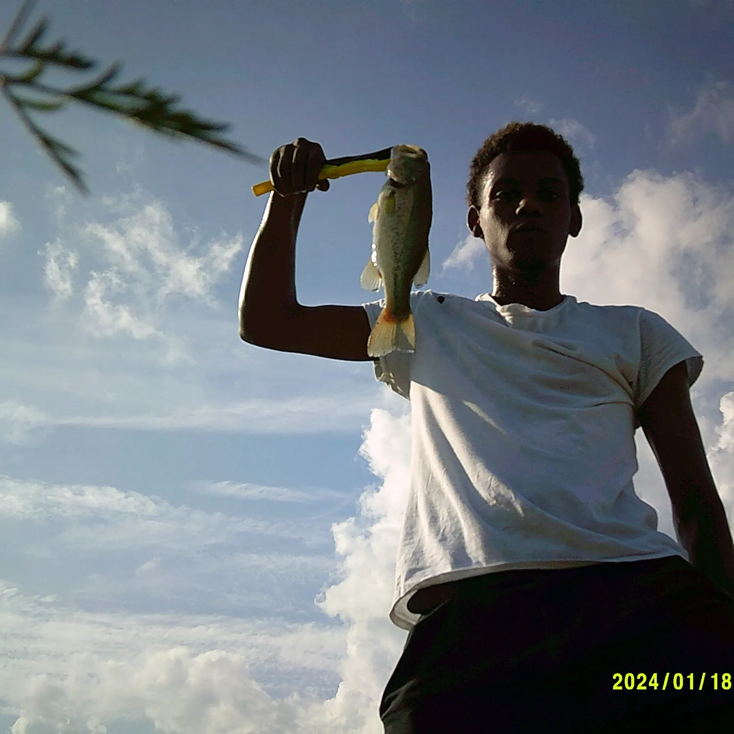 The most recent Spotted bass catches on Fishbrain