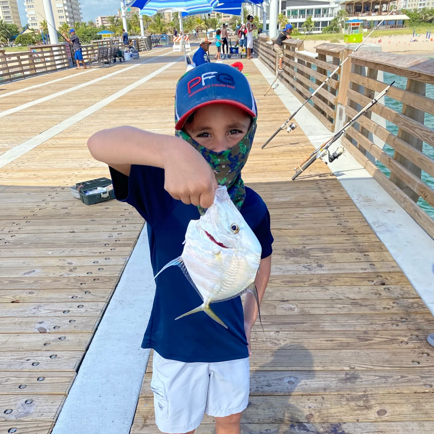 The most recent Lookdown catches on Fishbrain