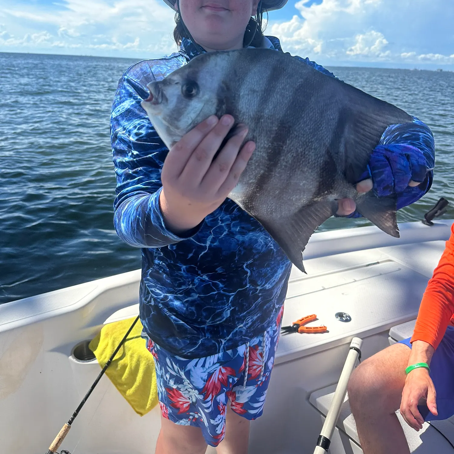 The most recent Atlantic spadefish catches on Fishbrain