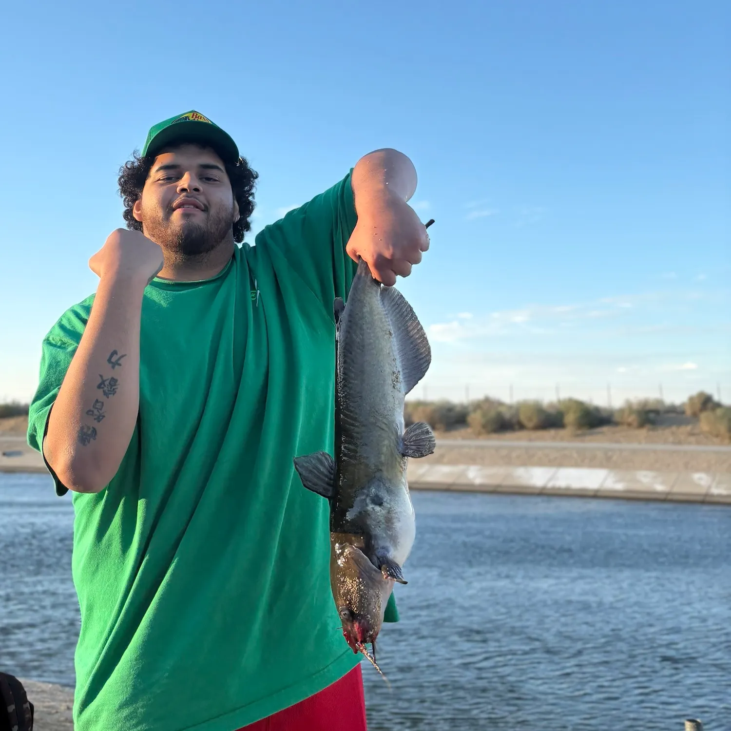 Channel catfish caught on Fishbrain